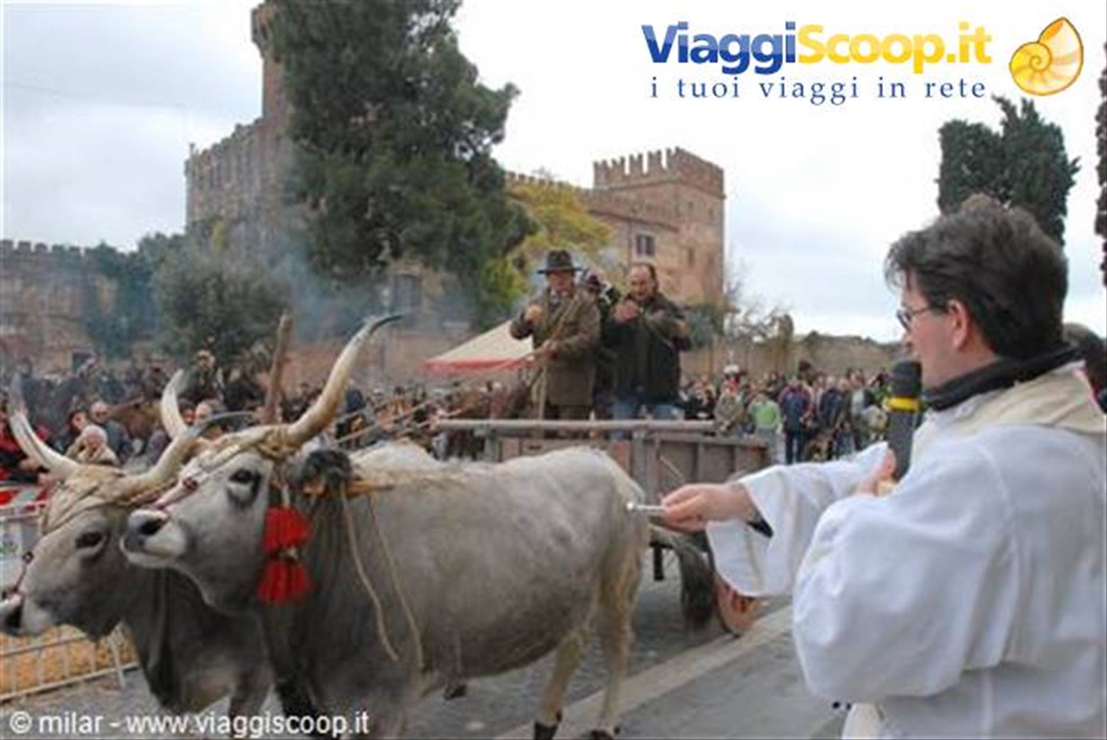 benedizione degli animali