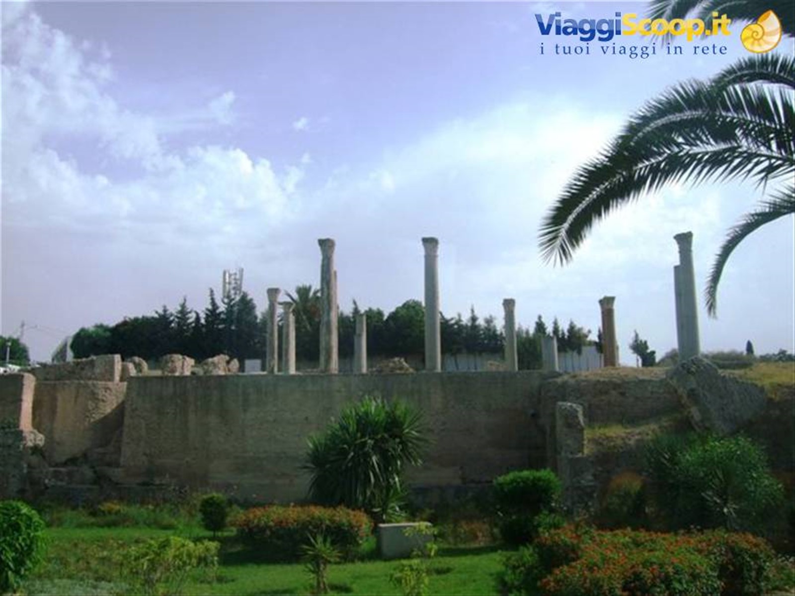 Foto di viaggio in TUNISIA