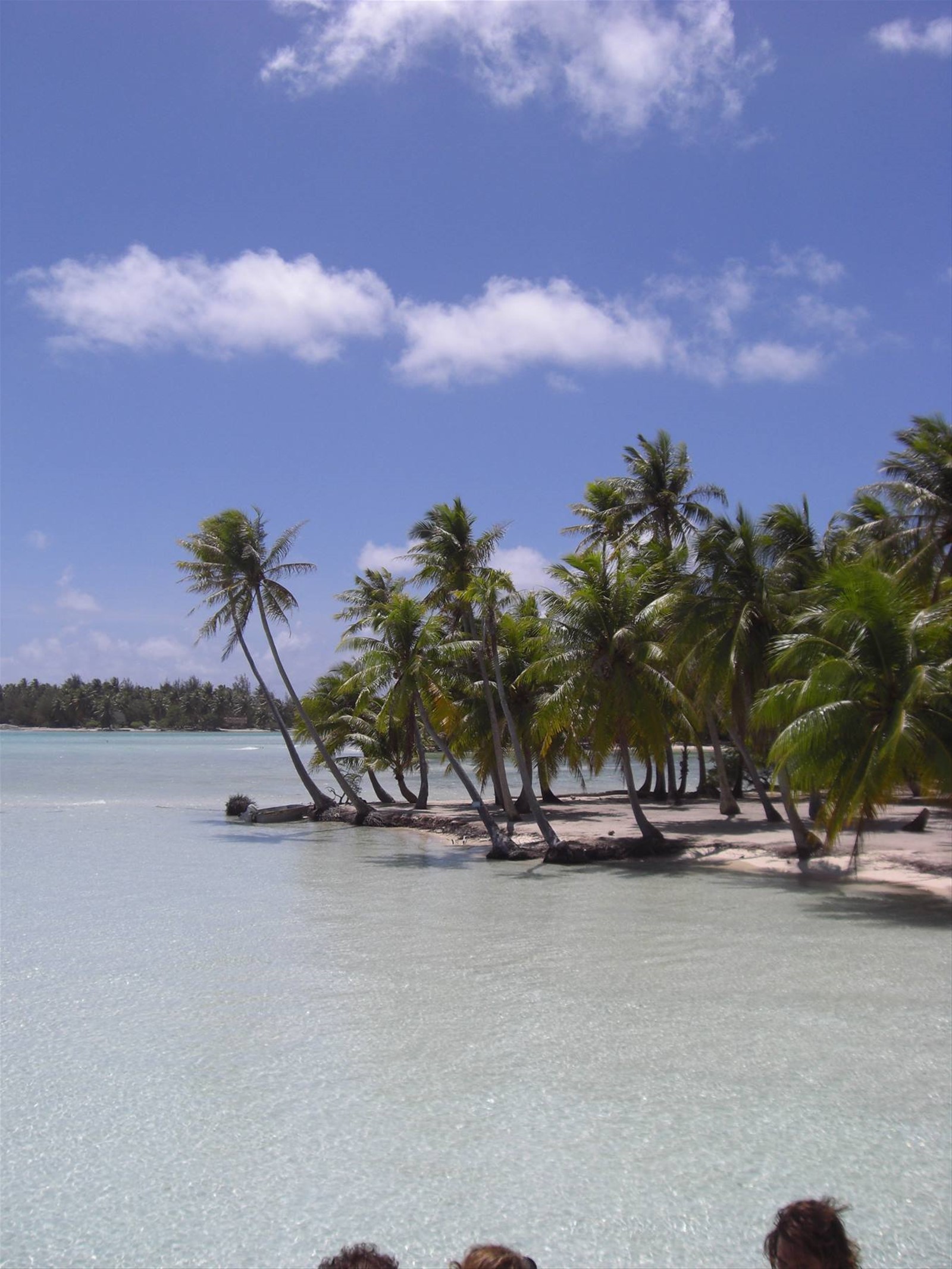 Lagoon