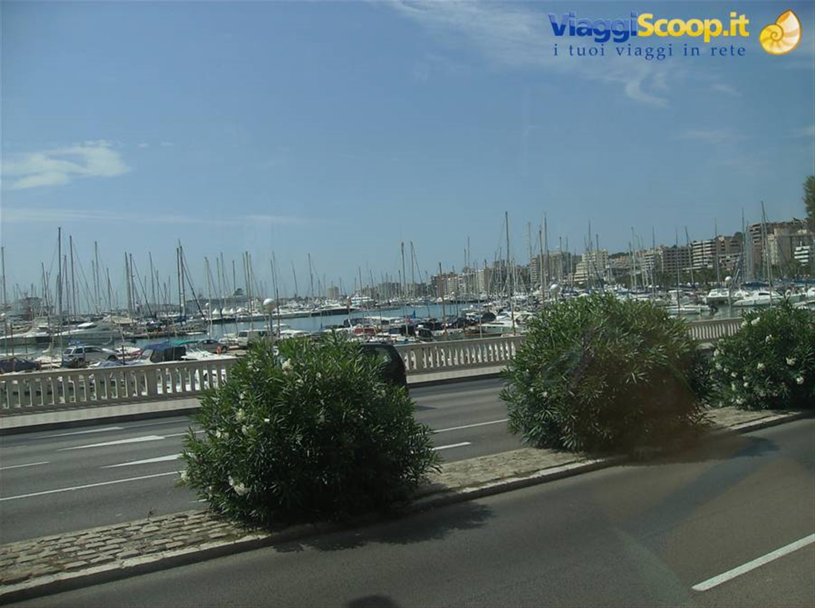 porto di palma