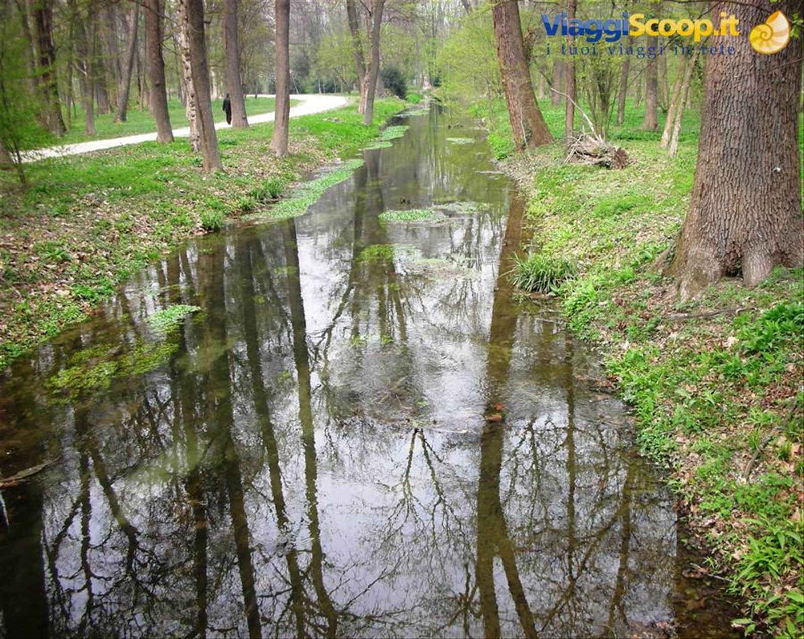 riflessi sul corso d'acqua nel parco del castello