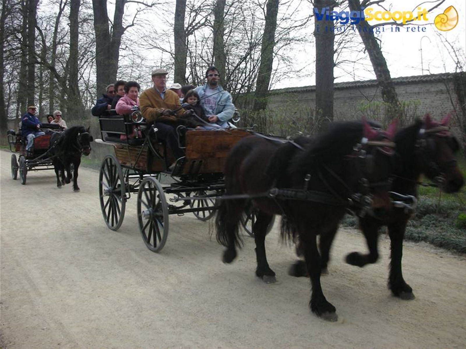 passeggiate in carrozza nel parco