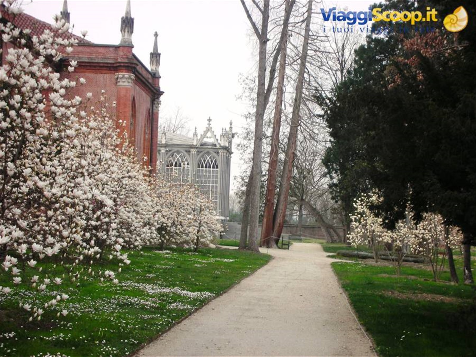 interno giardino serre reali