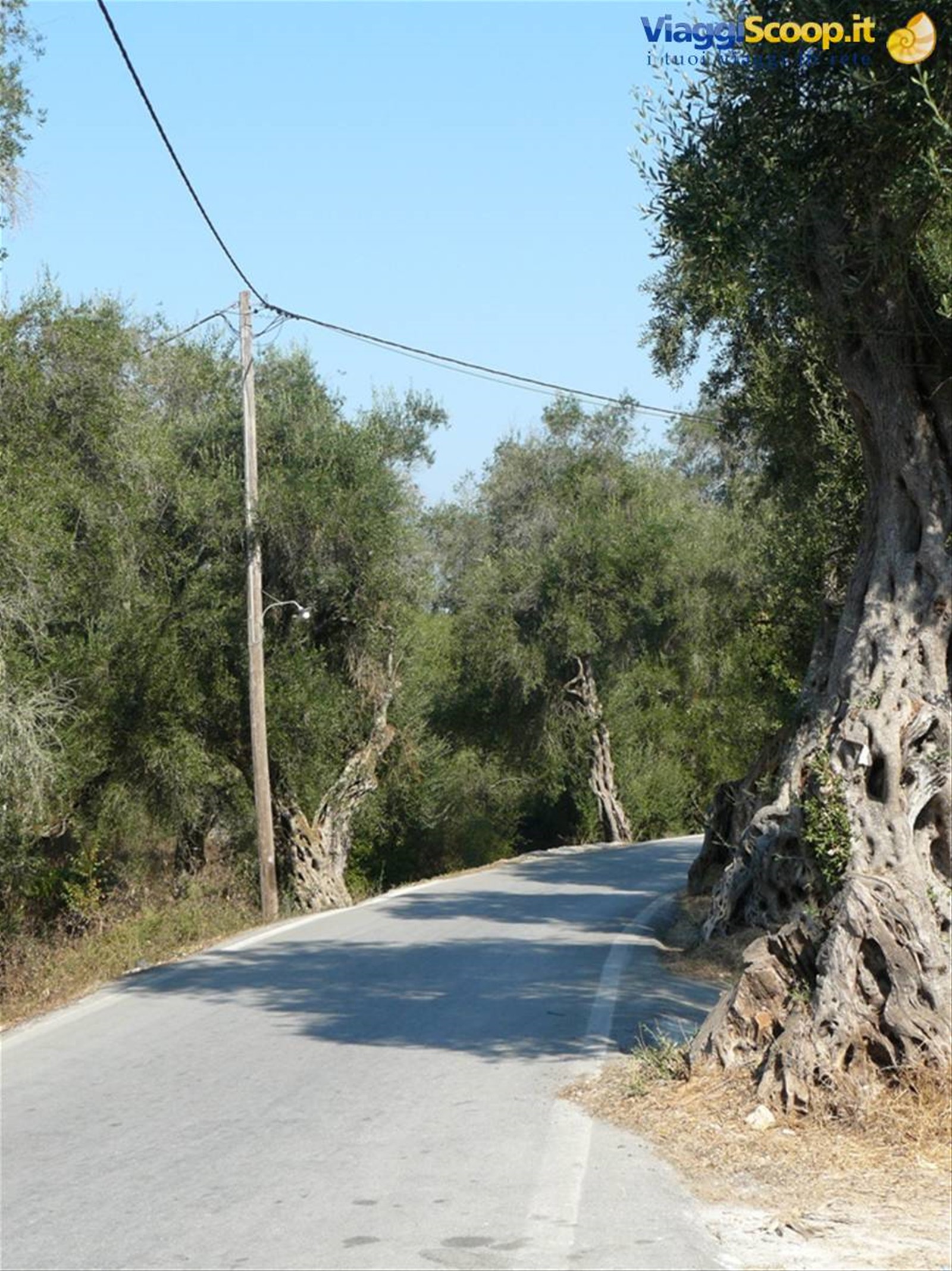 Sulle strade di PAXI