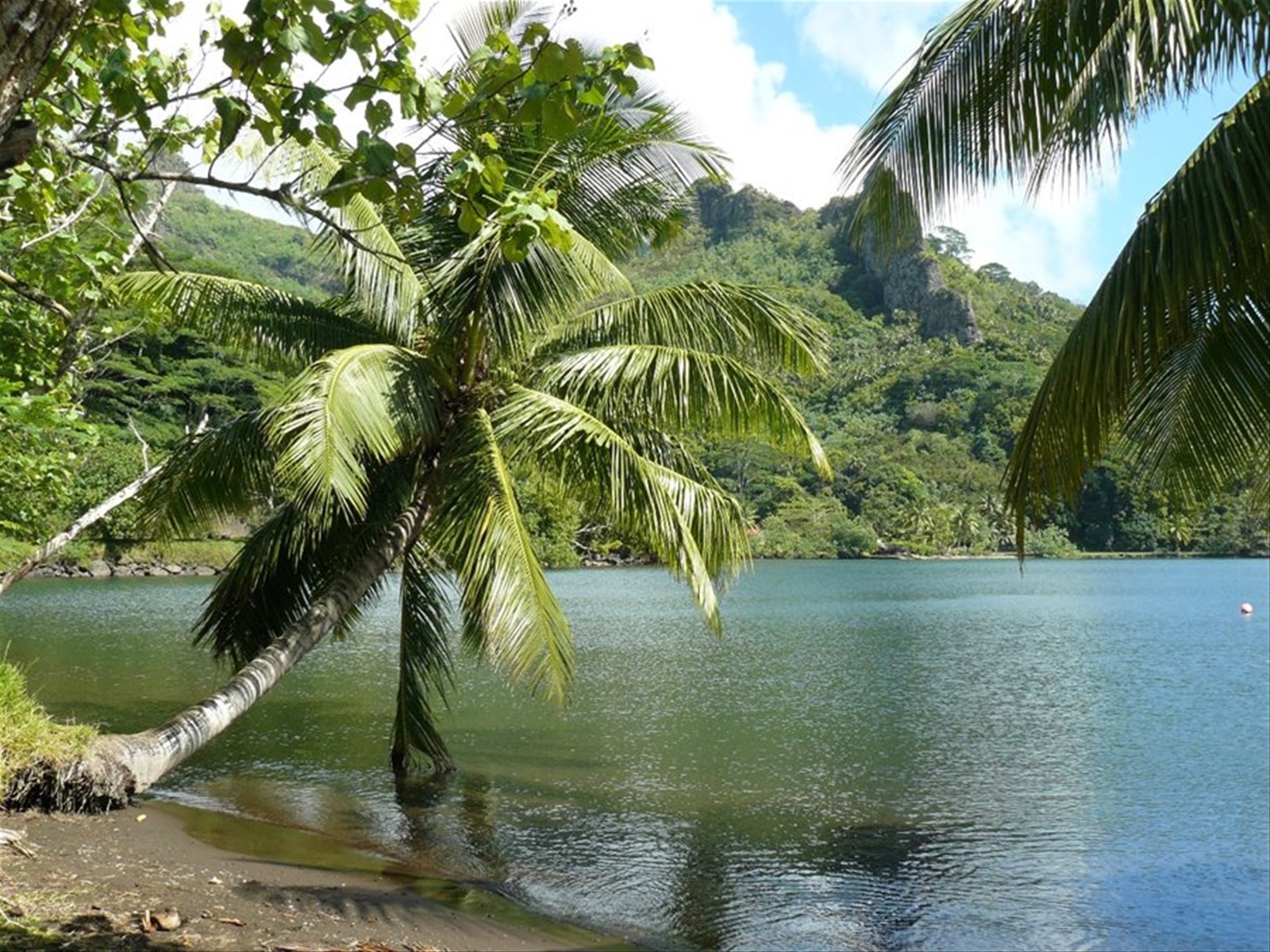 Baia di Opunohu