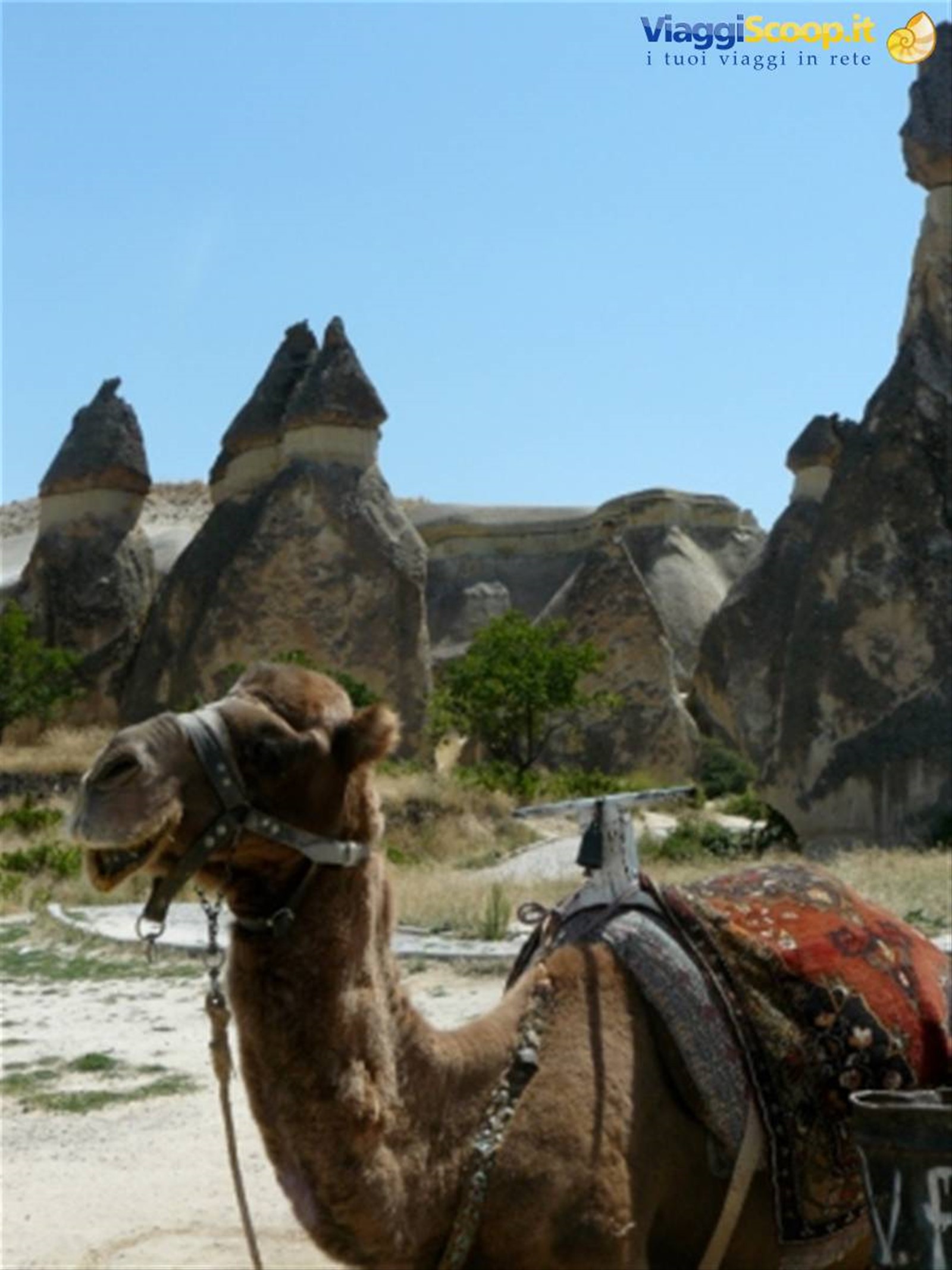 Foto di viaggio in TURCHIA
