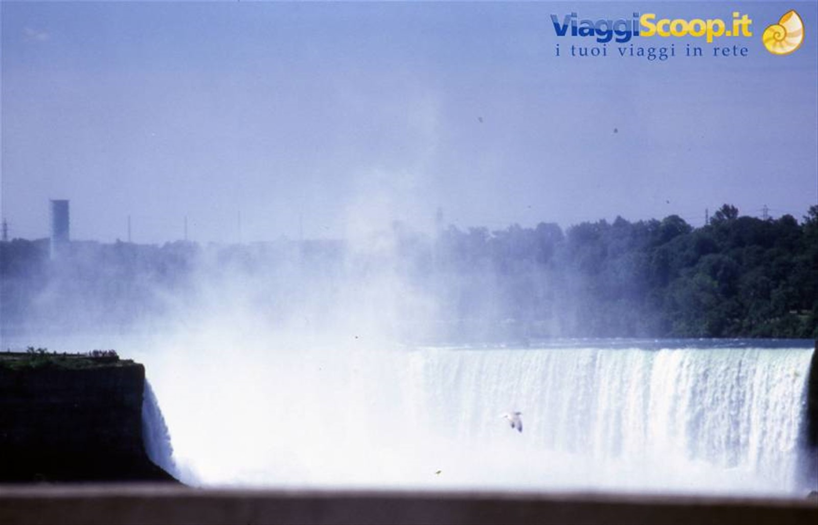 Niagara