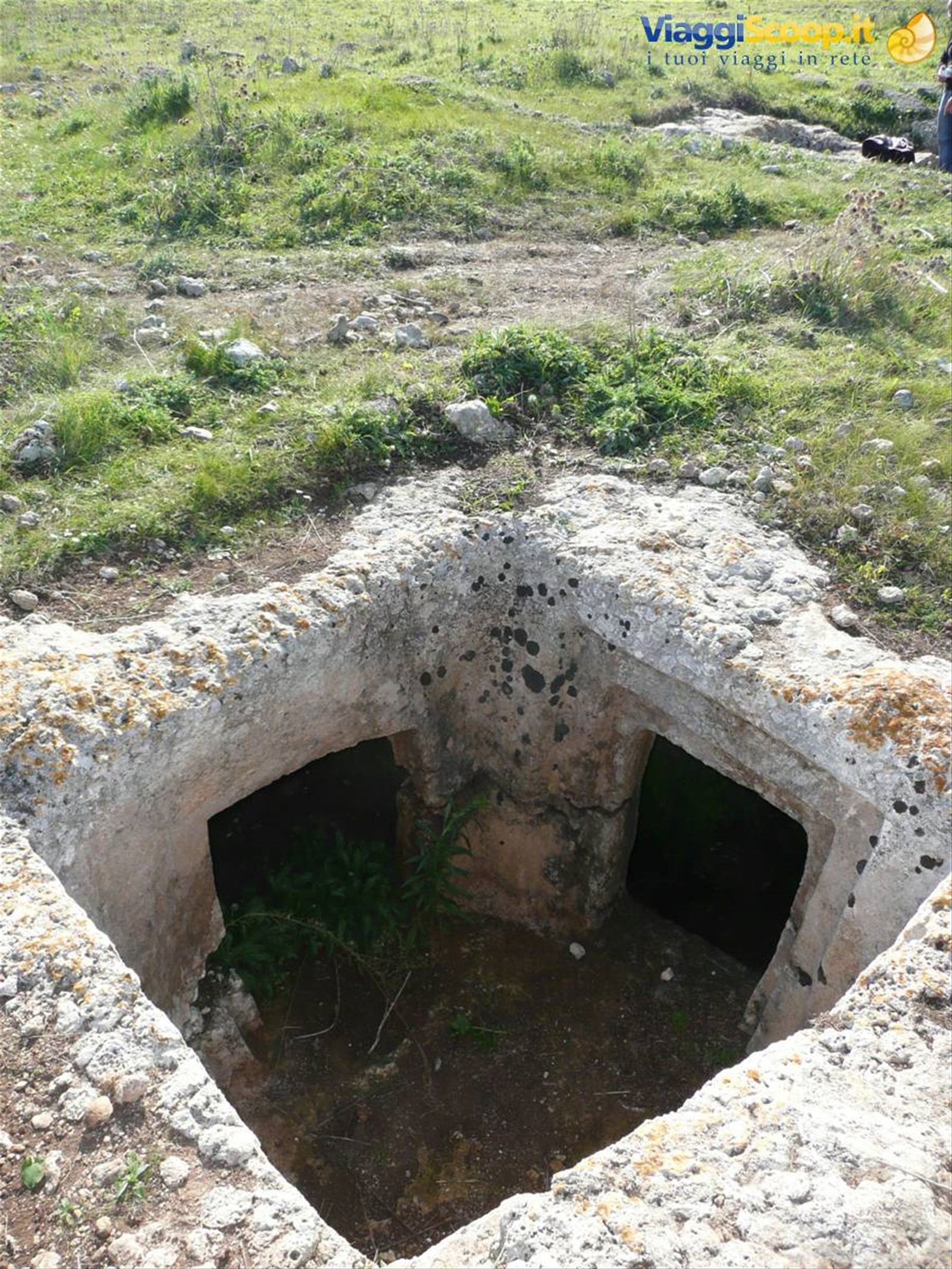 THAPSOS