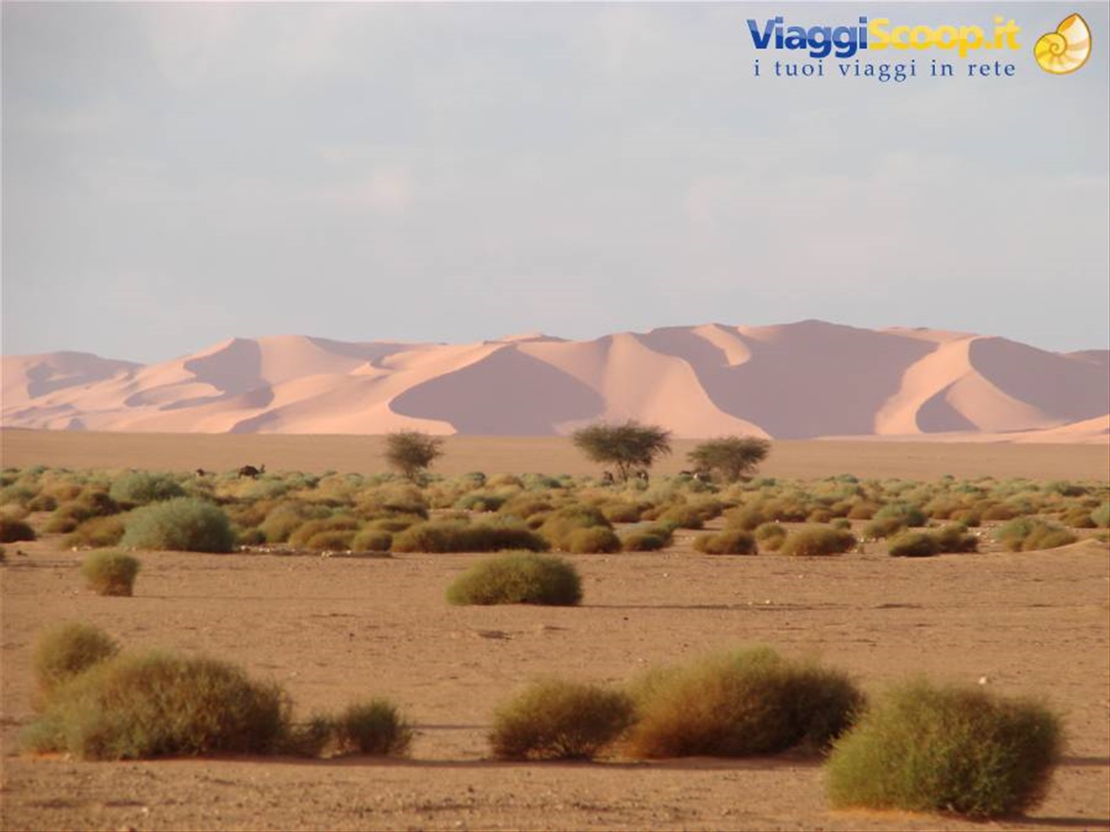 Foto di viaggio in LIBYAN ARAB JAMAHIRIYA