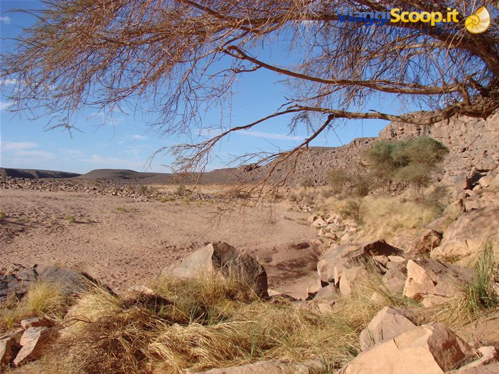 wadi mathendush