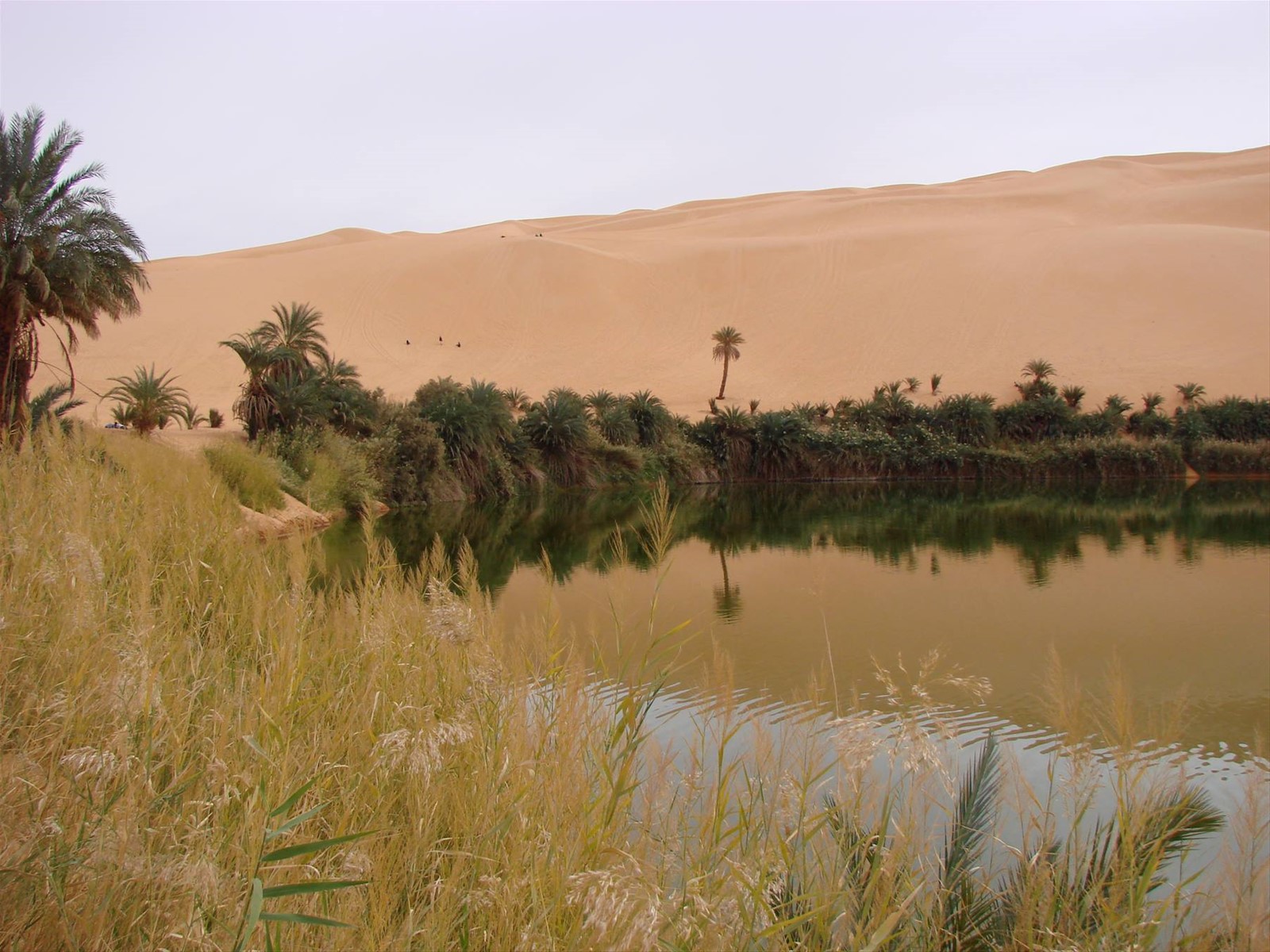 Foto di viaggio in LIBYAN ARAB JAMAHIRIYA