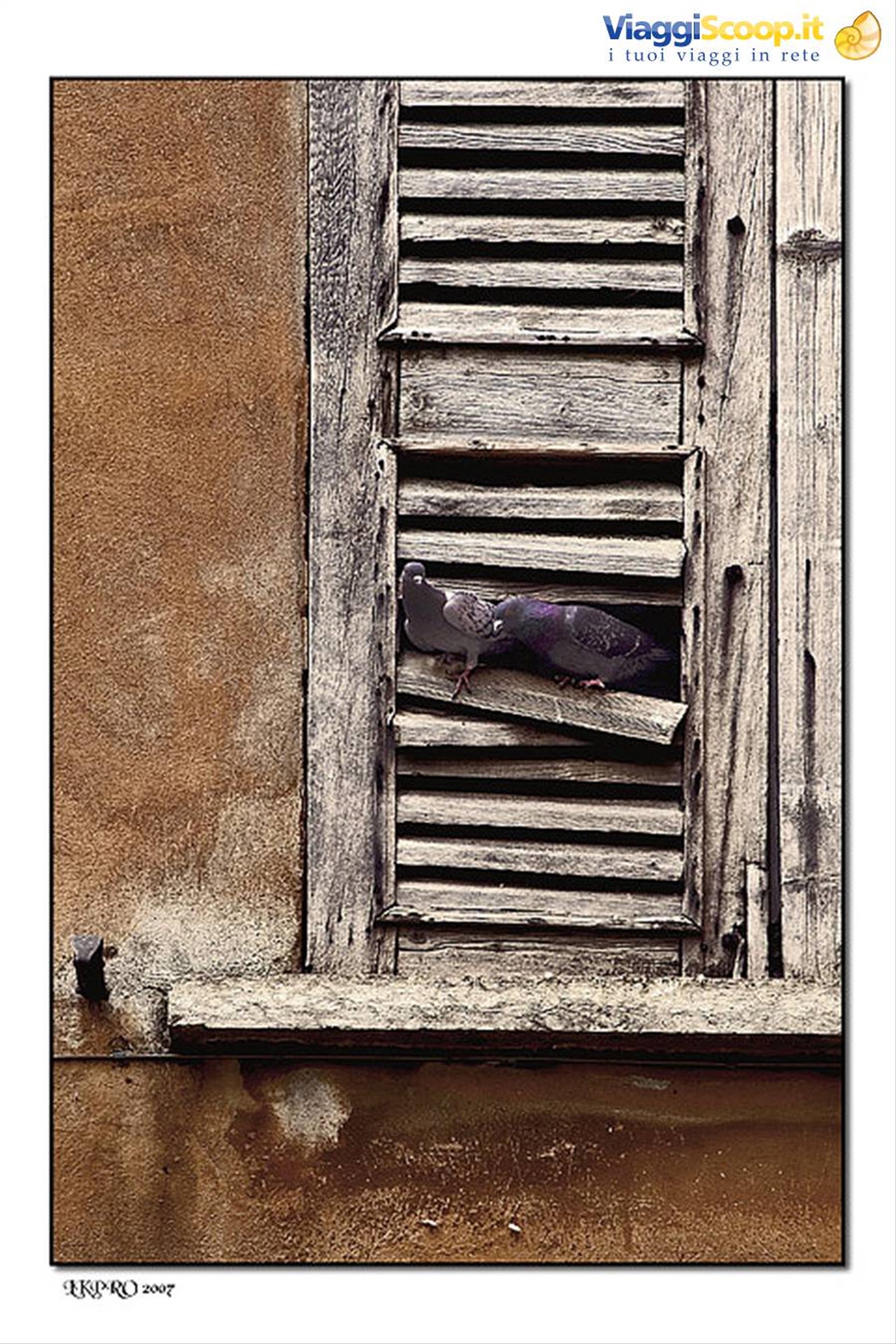 mantova