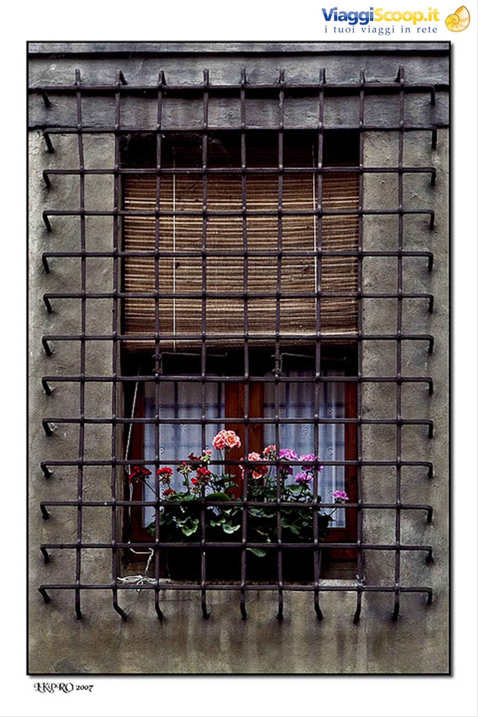 mantova