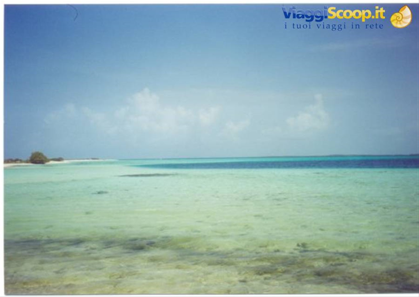 Foto di viaggio in VENEZUELA