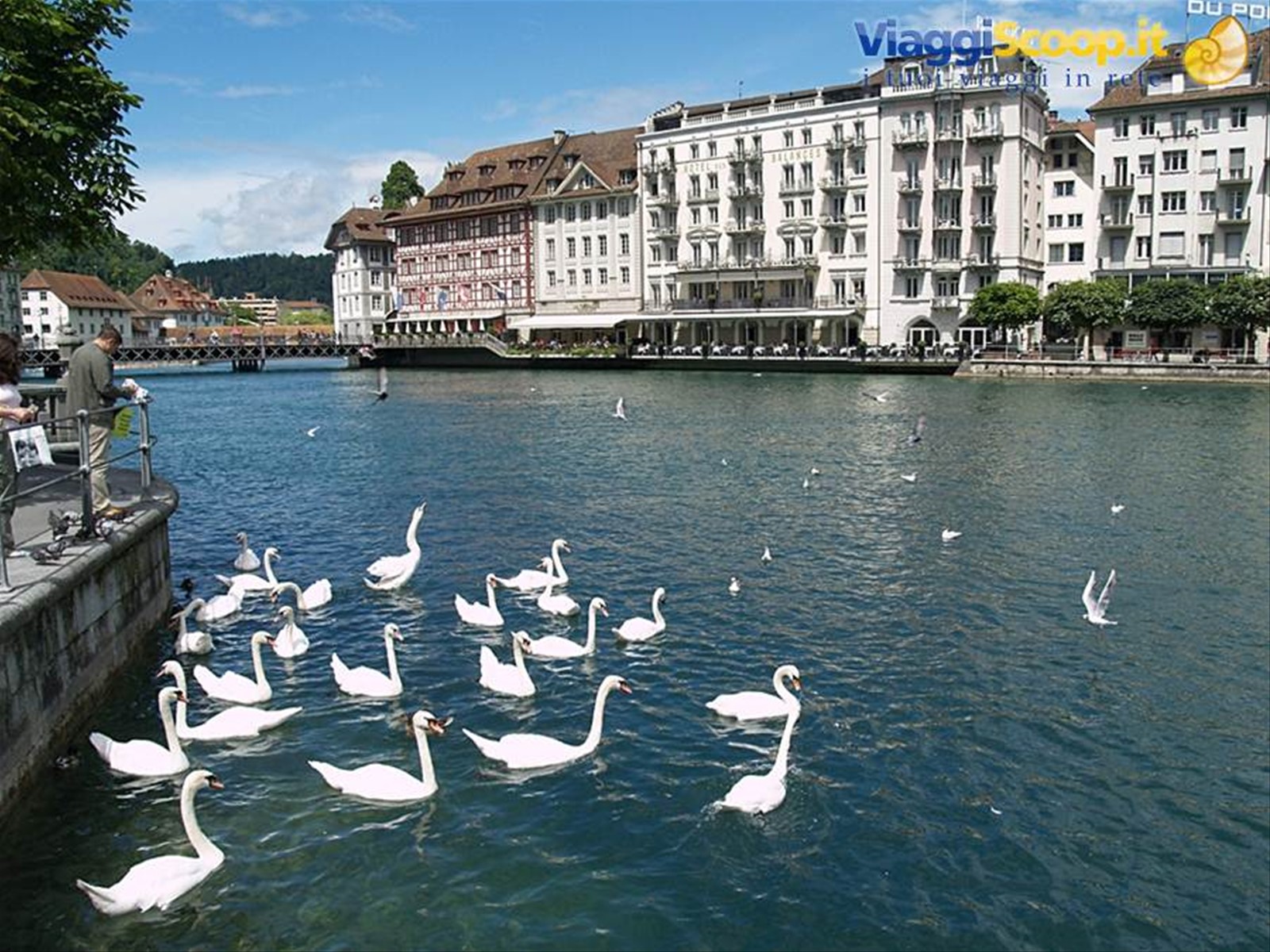 Lucerna