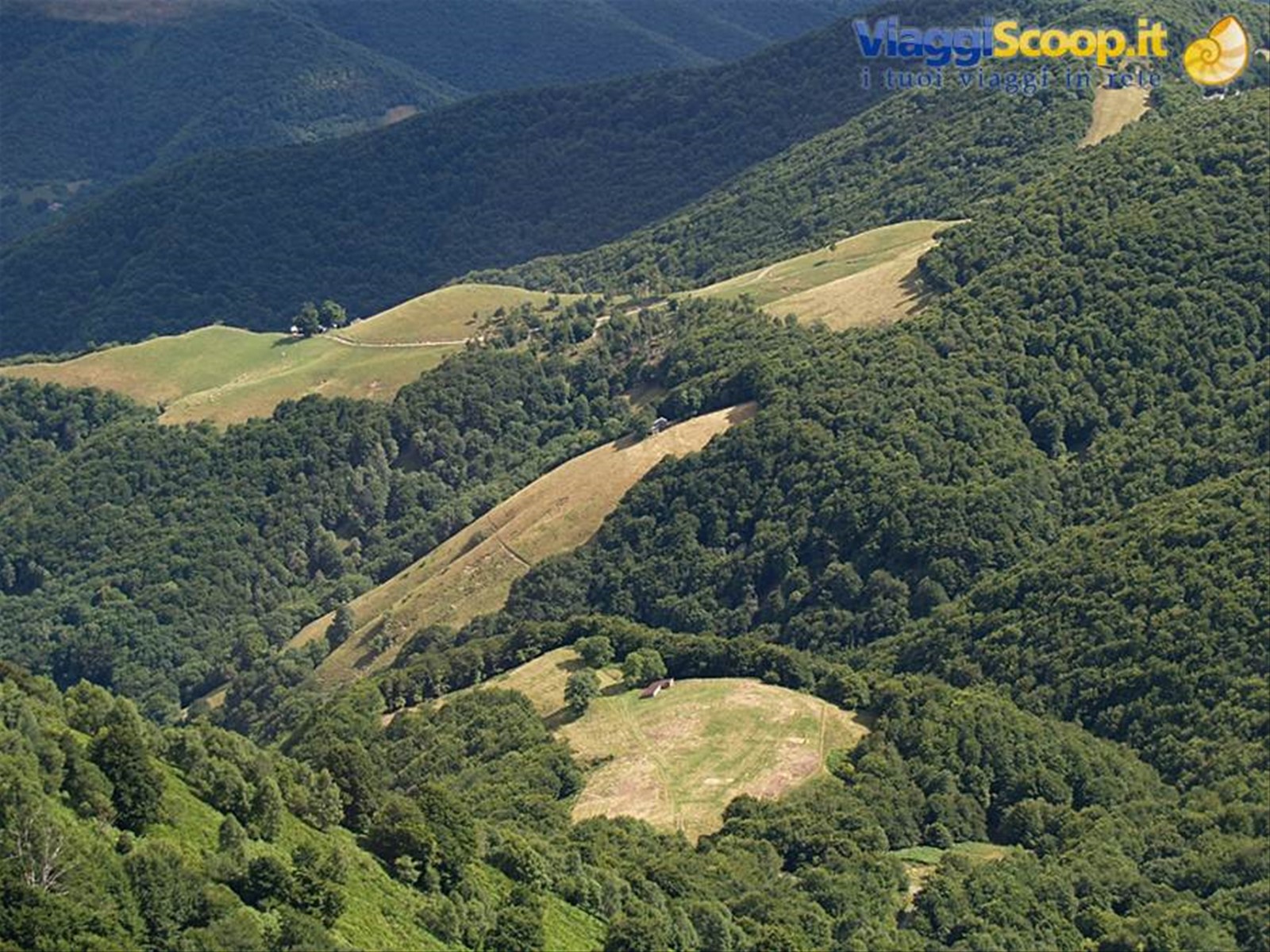 Panorama