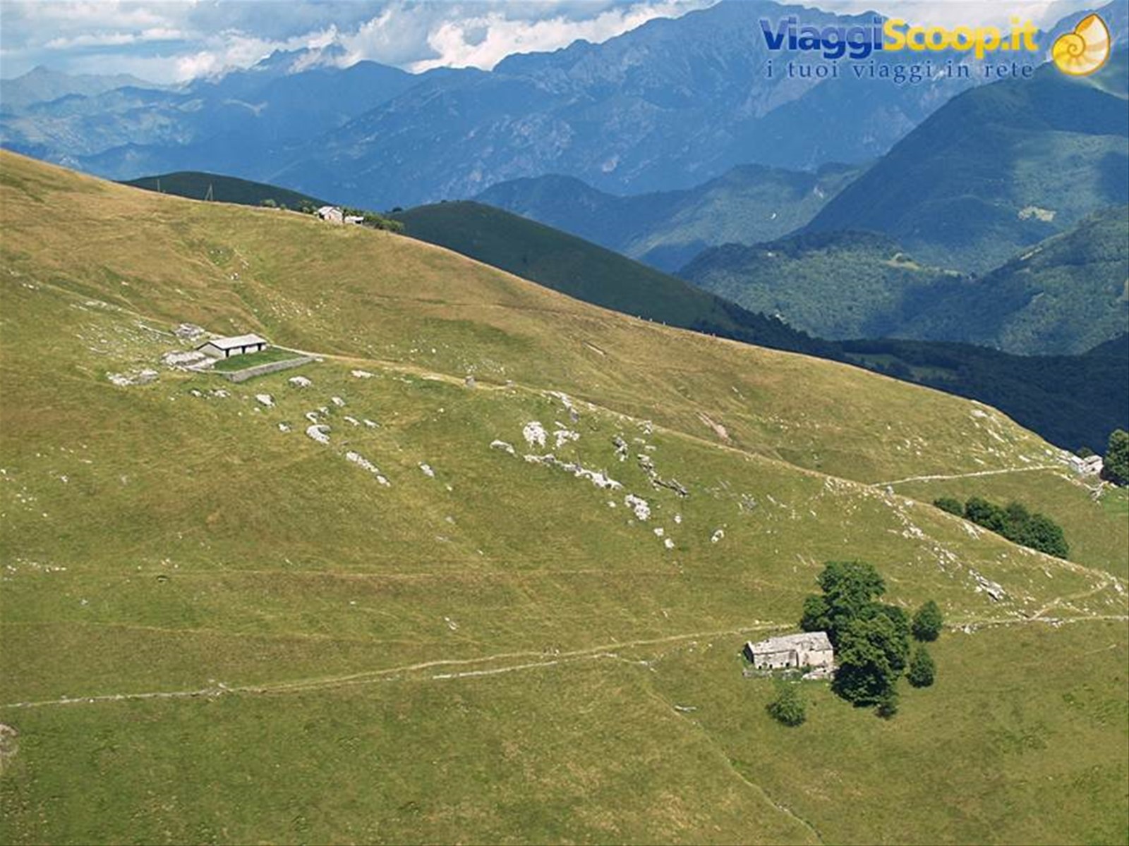 Panorama