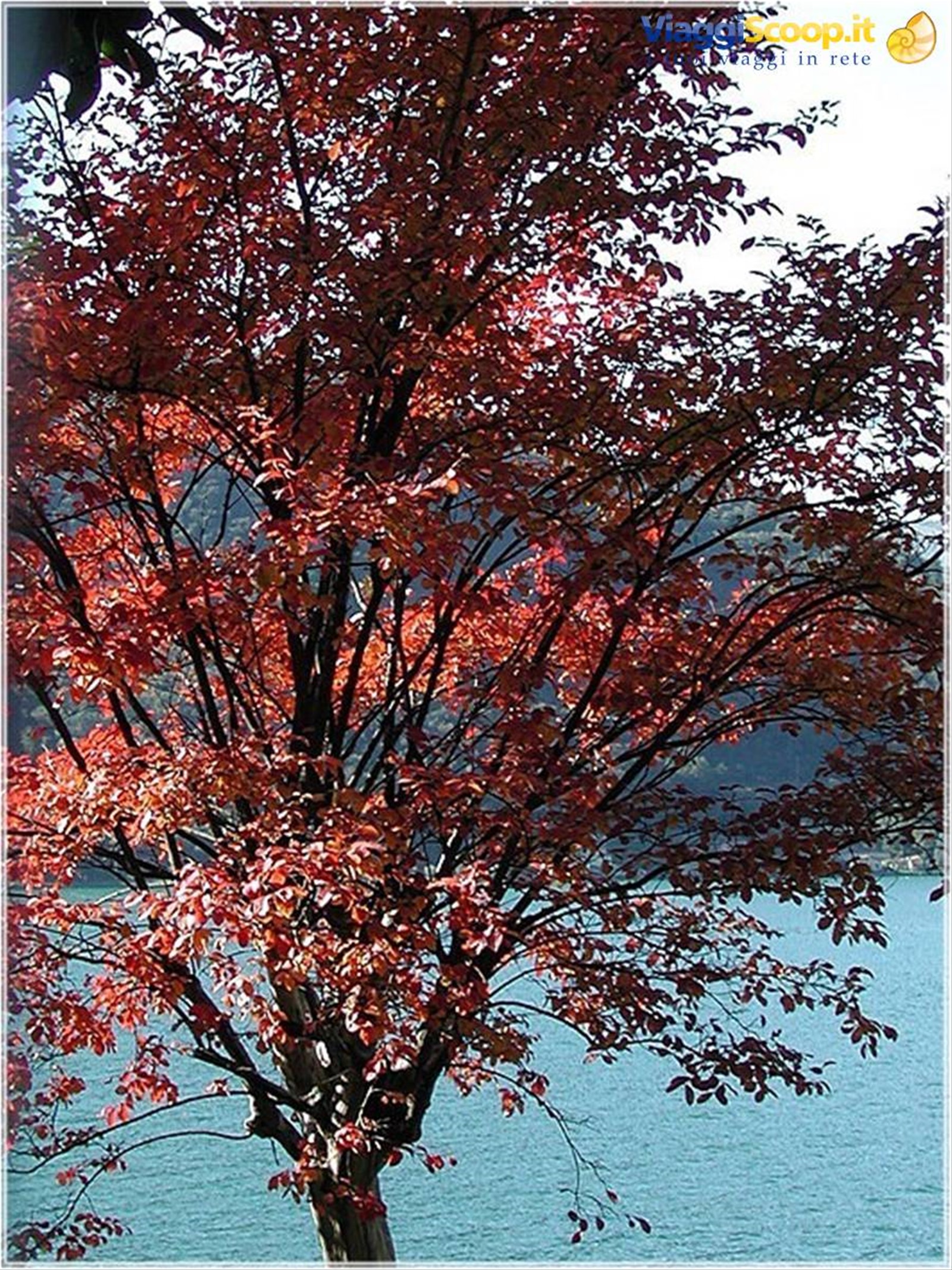 I colori dell'autunno