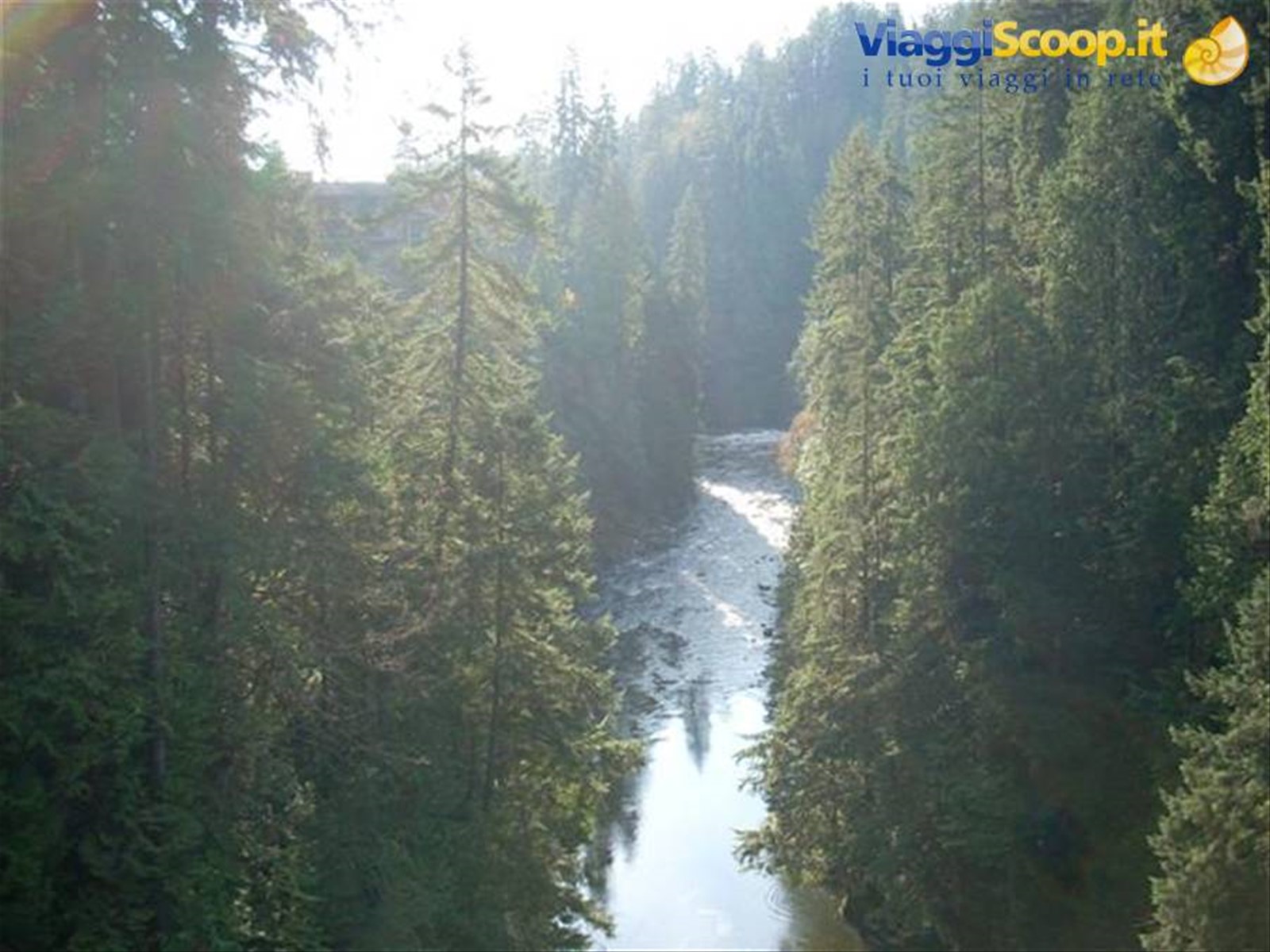 Vancouver Capilano park 4