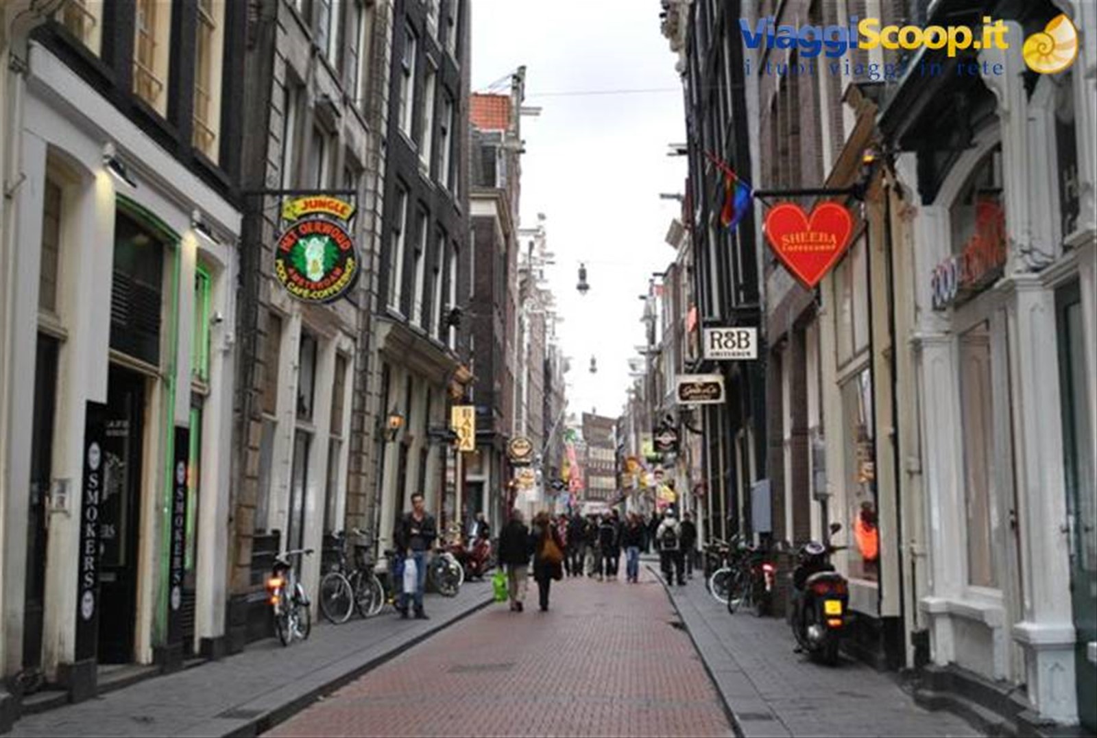 Foto di viaggio in OLANDA