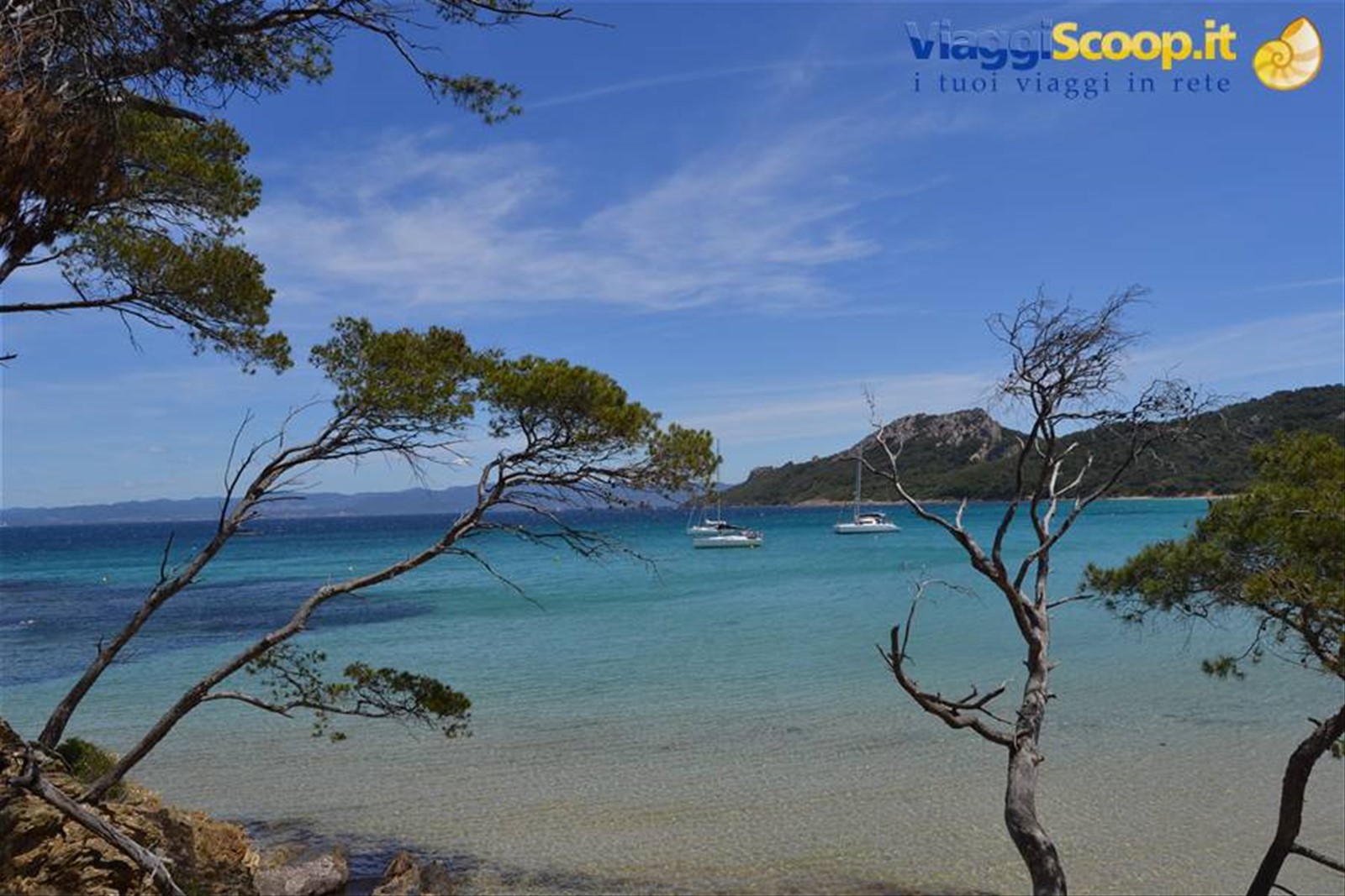 Ile de Porquerolles: isola incontaminata