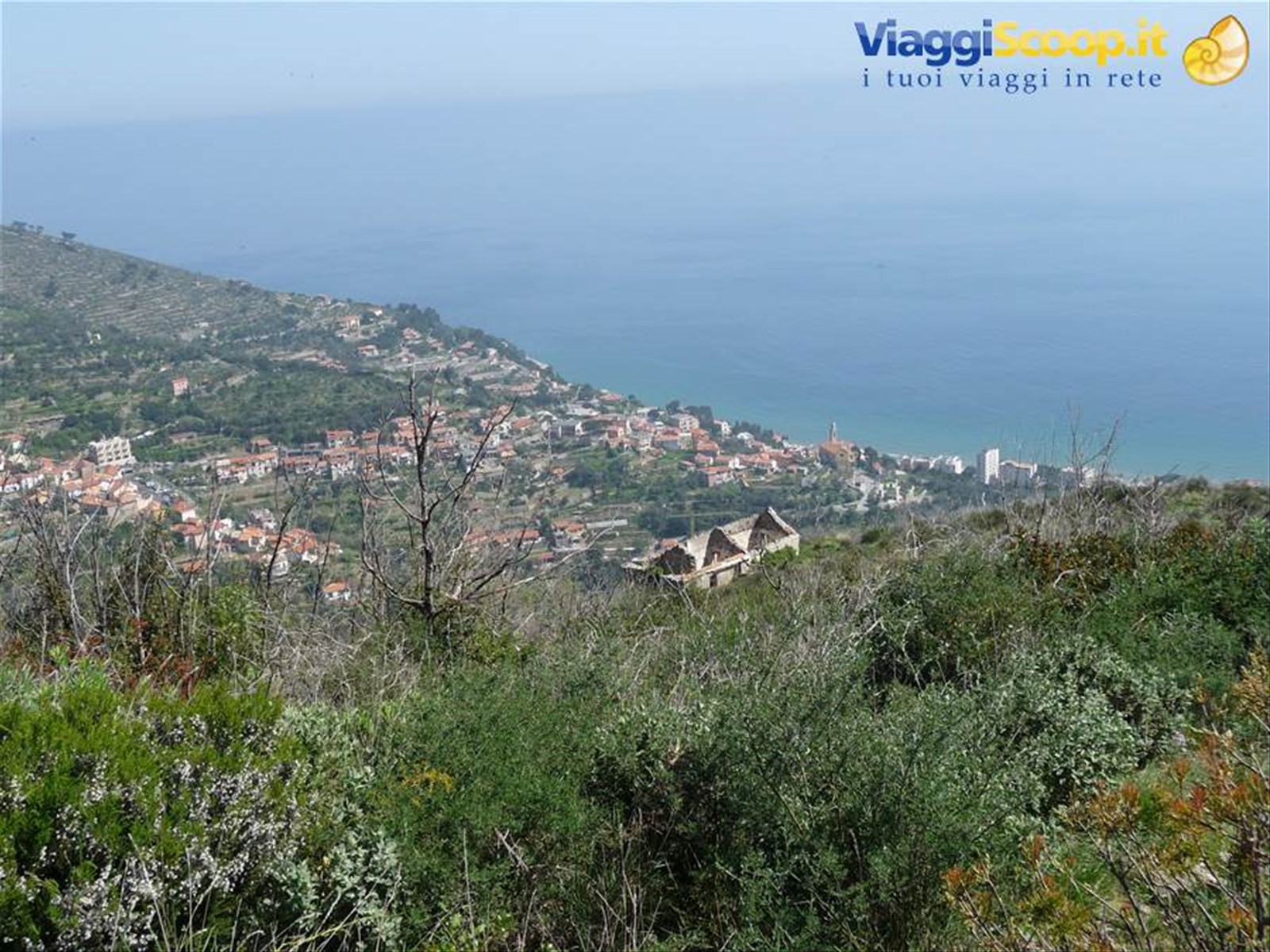 Alassio