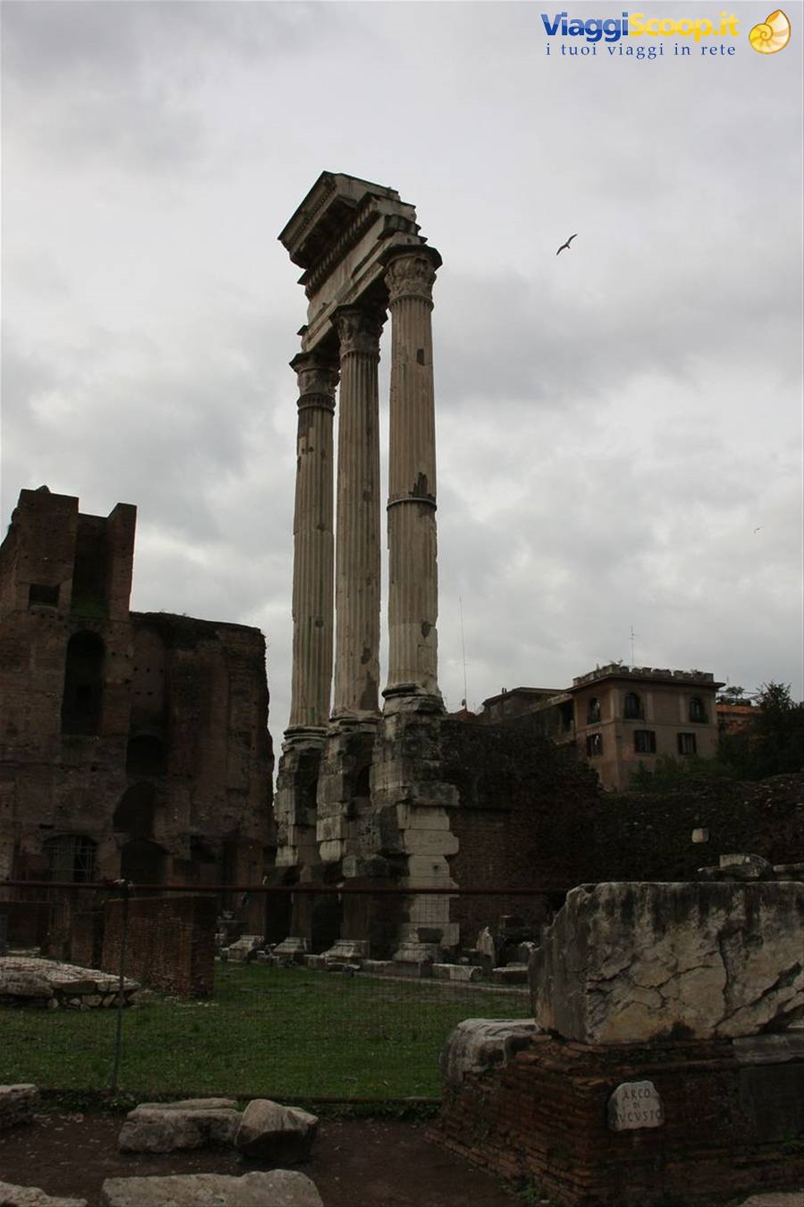 Roma