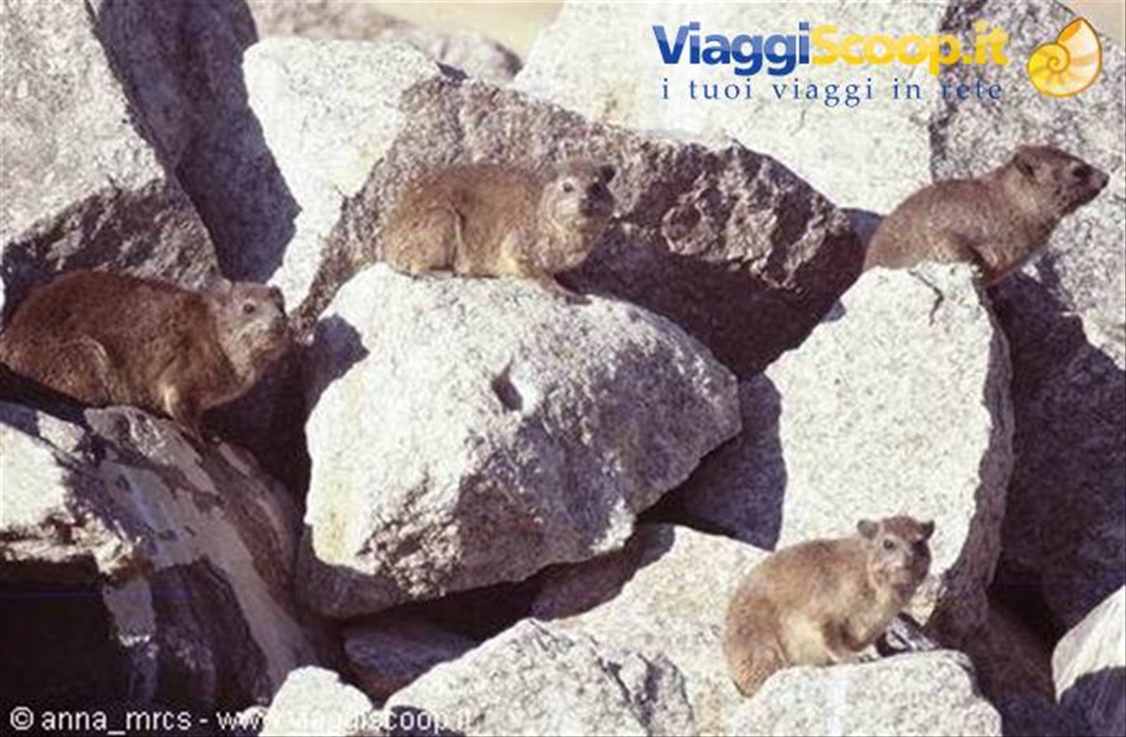 Proravie nei pressi di Ai-Ais (Fish-River-Canyon National Park)