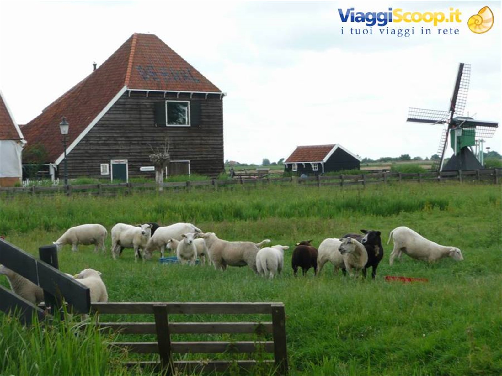 Zaanse Schans