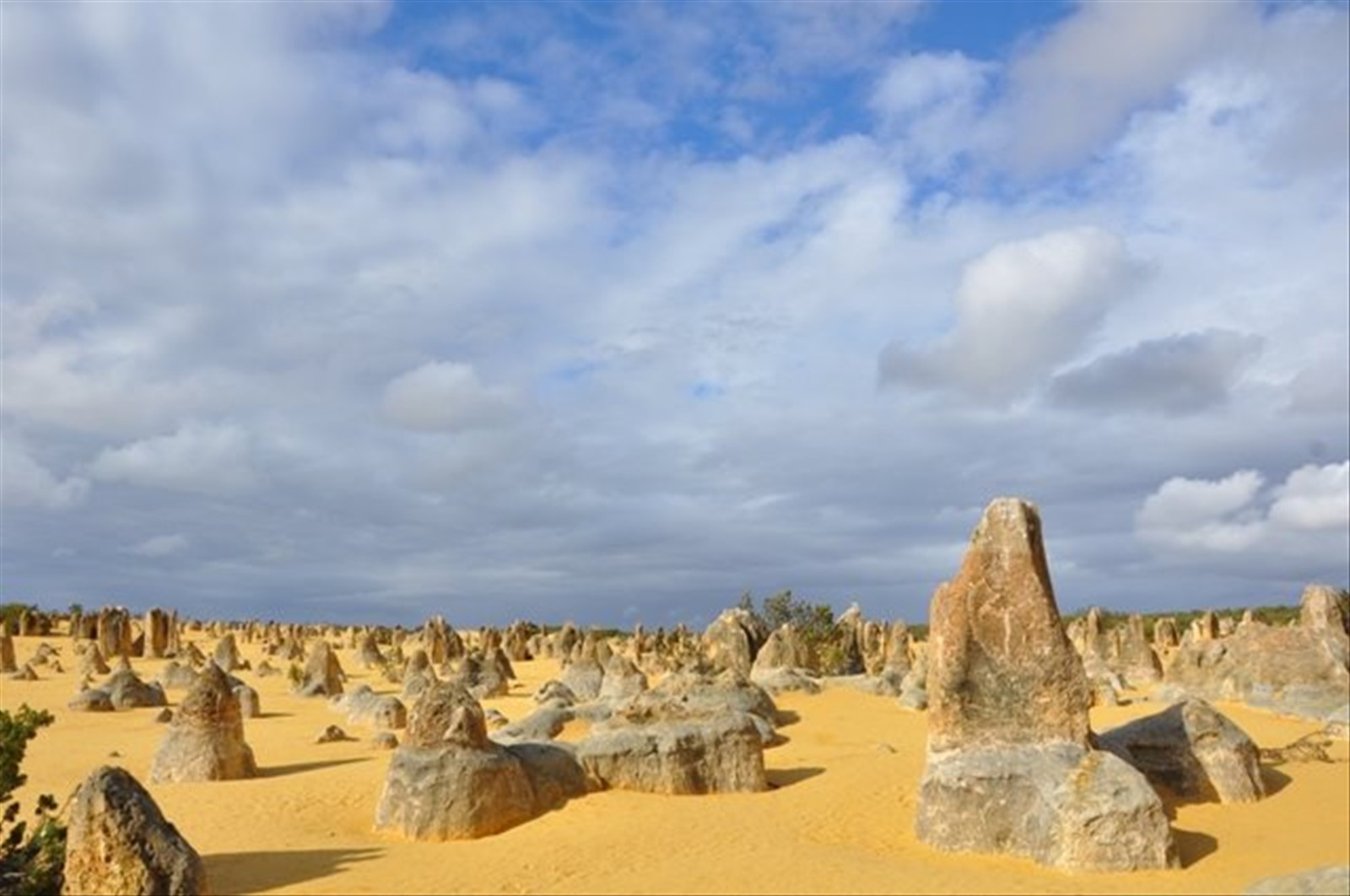 Pinnacles Desert