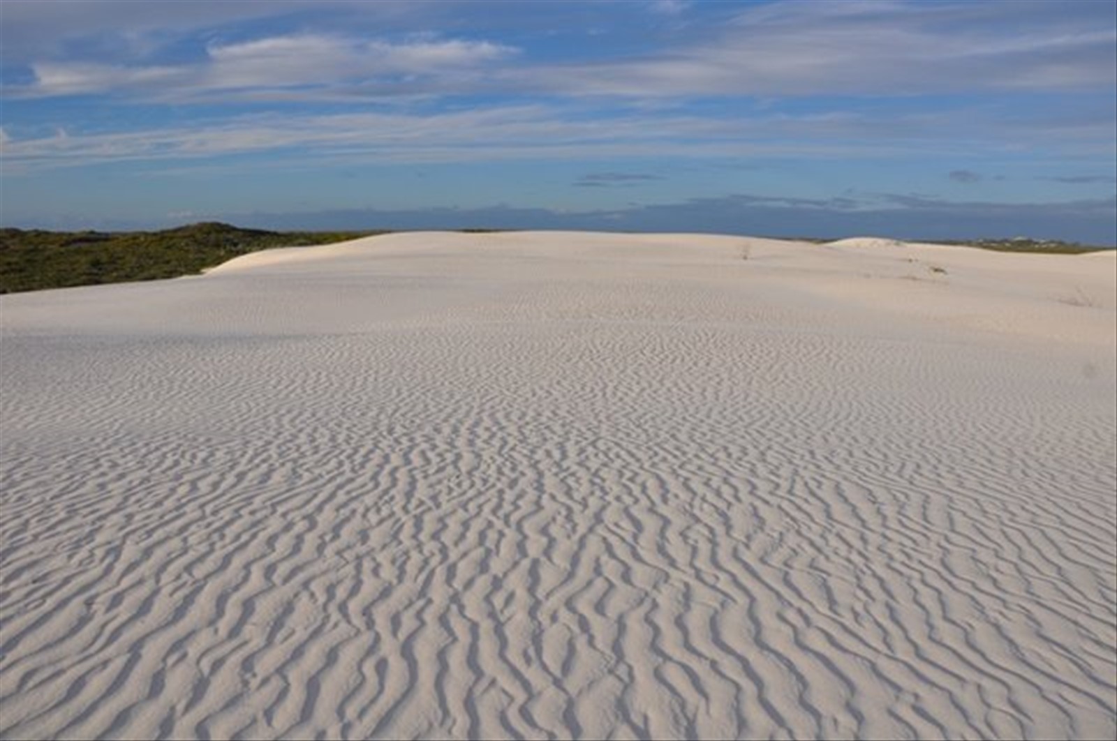 Verso Cervantes