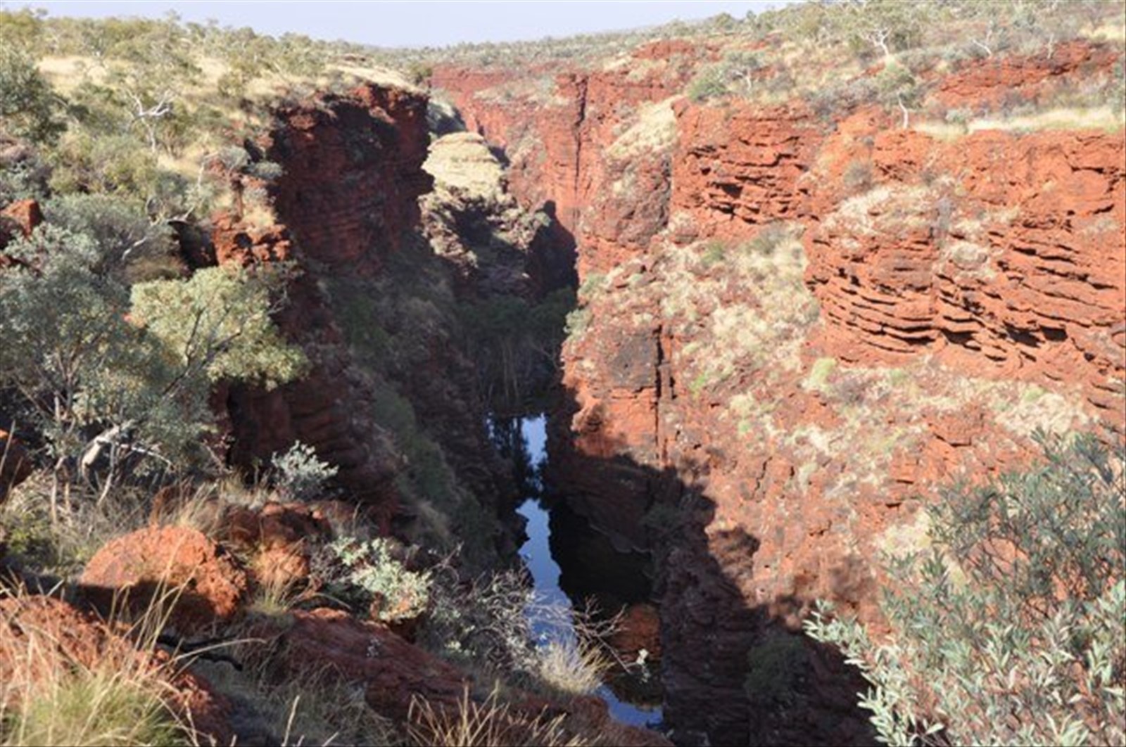 Karinjini NP