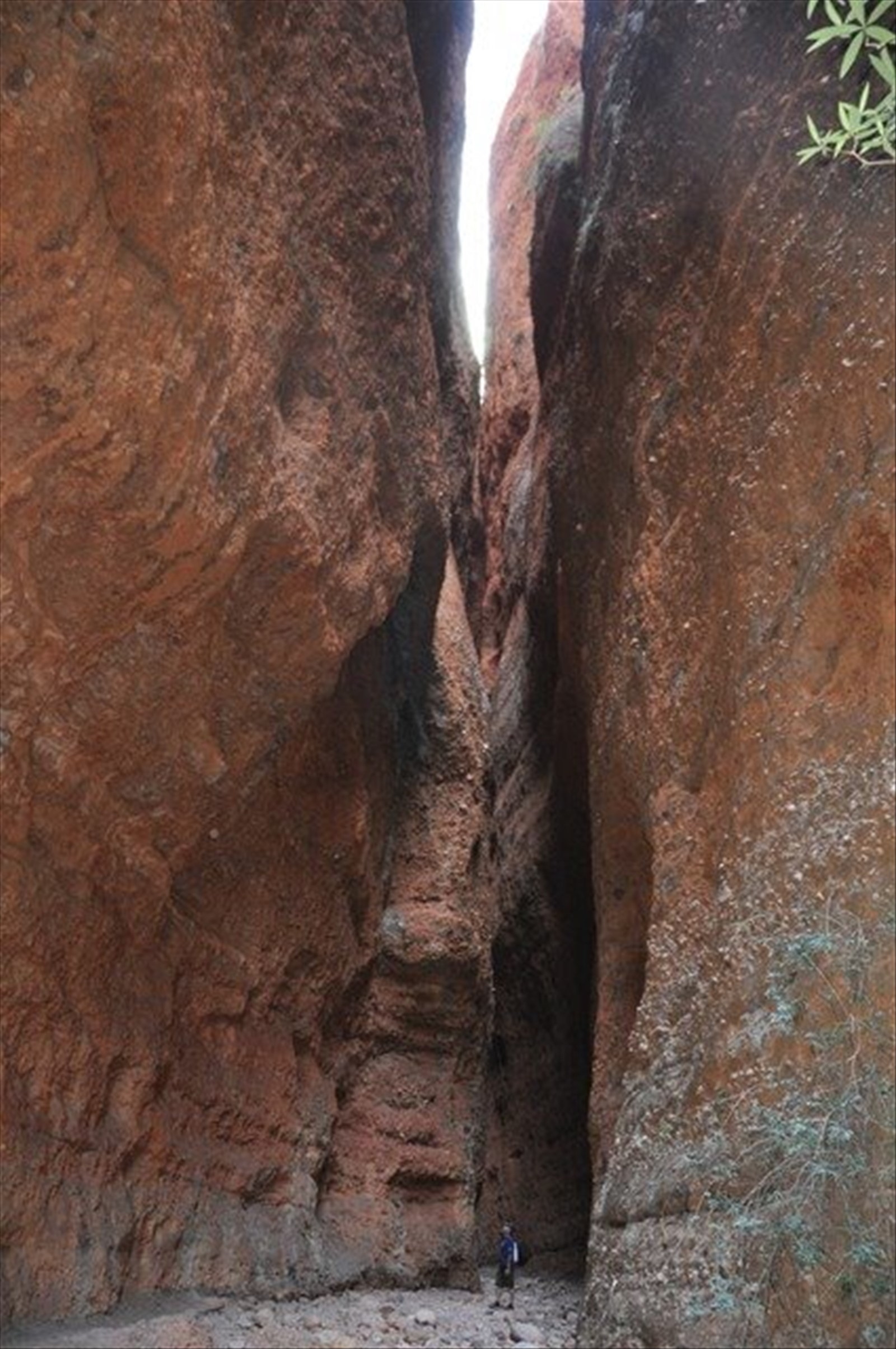 Purnululu Echidna Gorge