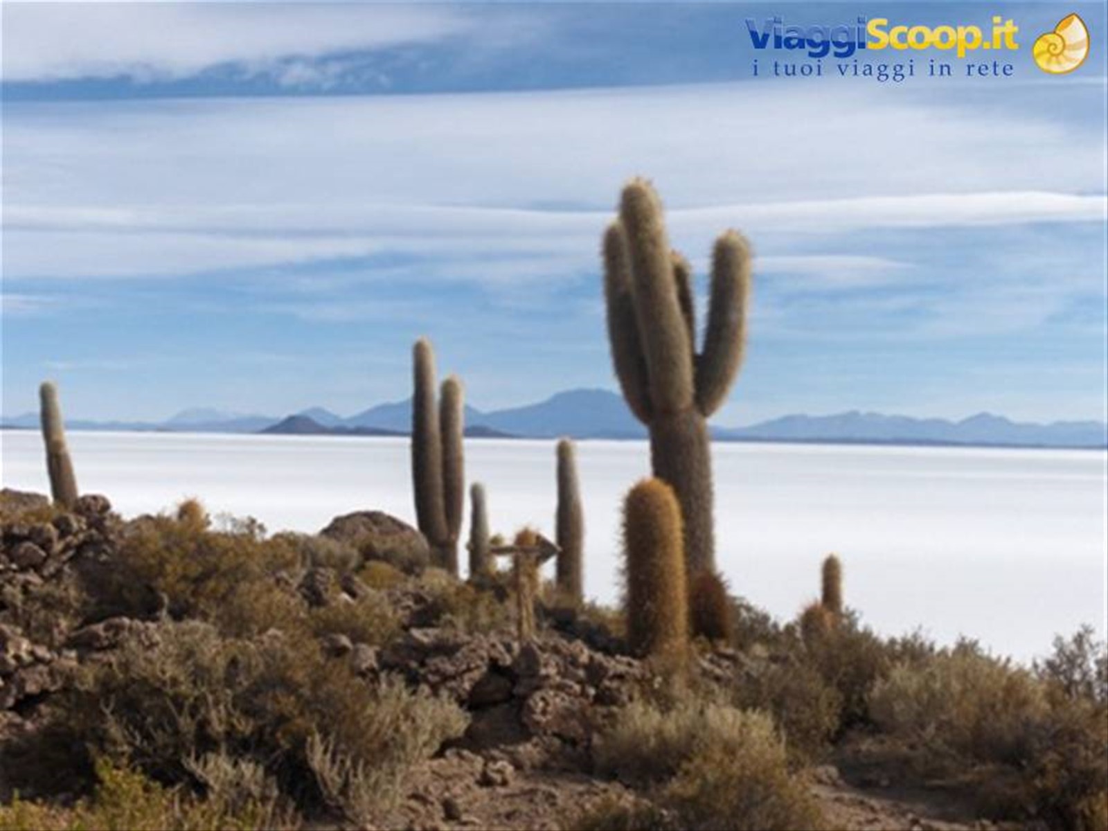 Isla del Pescado, Salar de Uyuni