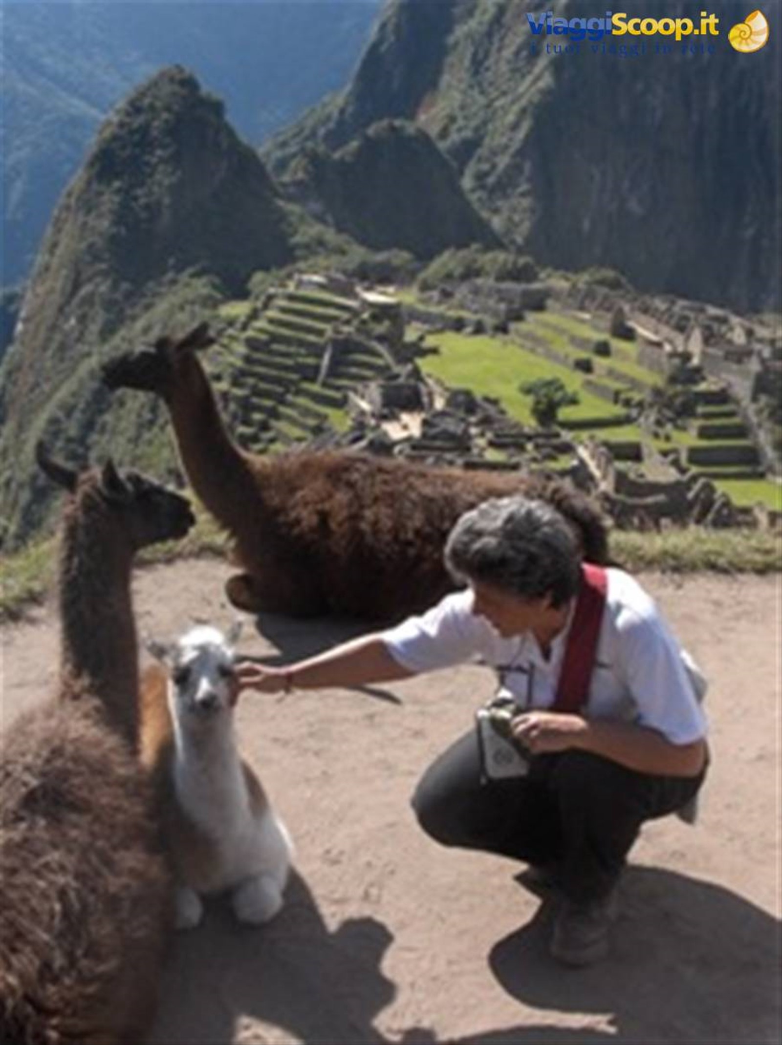 i giardinieri del machu picchu