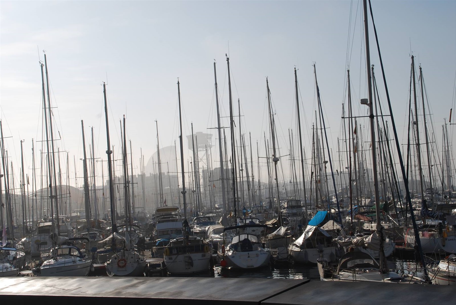 Porto della Barceloneta