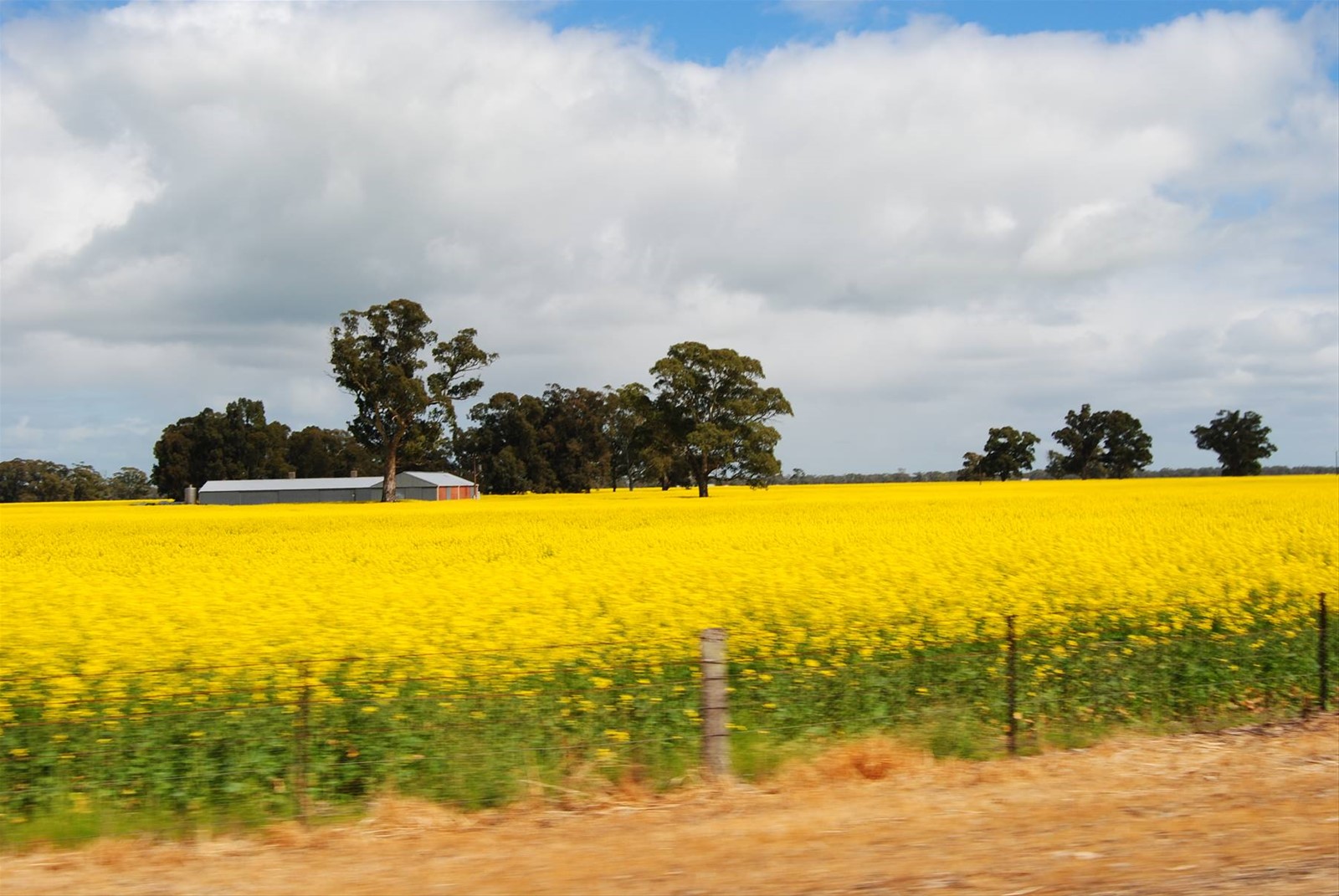 Foto di viaggio in AUSTRALIA