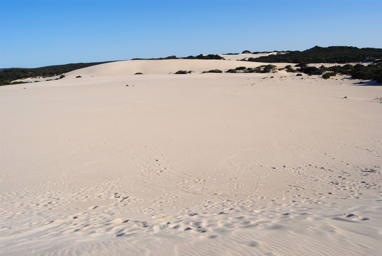 Little Sahara
