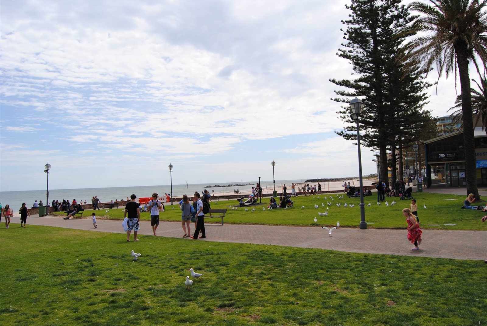 Foto di viaggio in AUSTRALIA