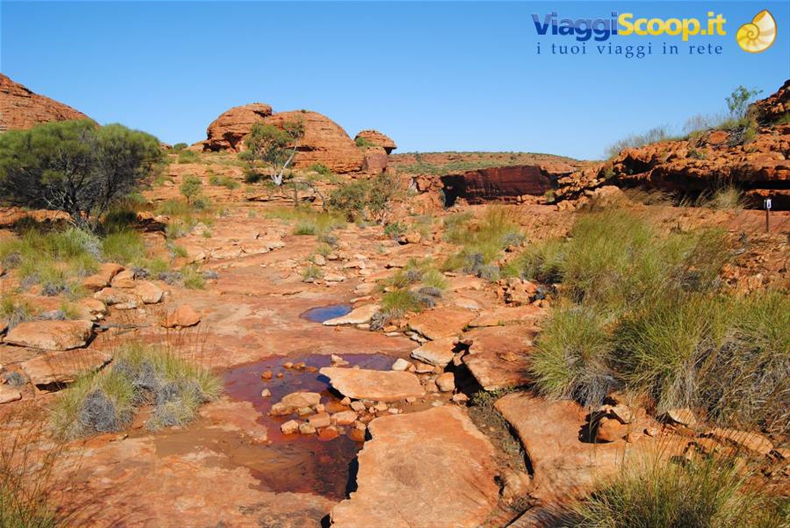 Kings canyon