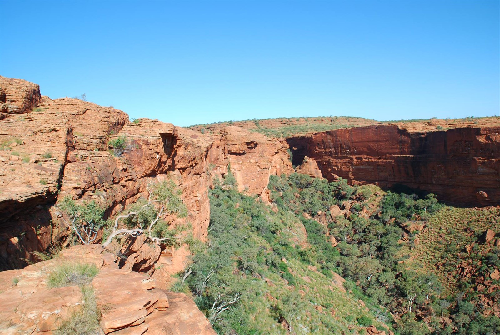 Foto di viaggio in AUSTRALIA