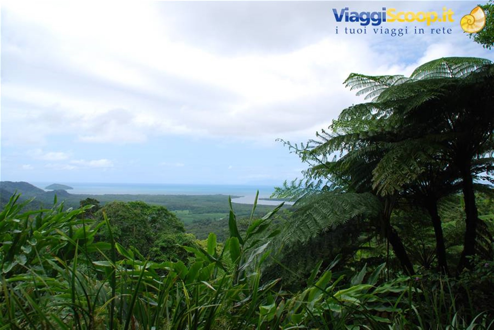 Cape Tribulation