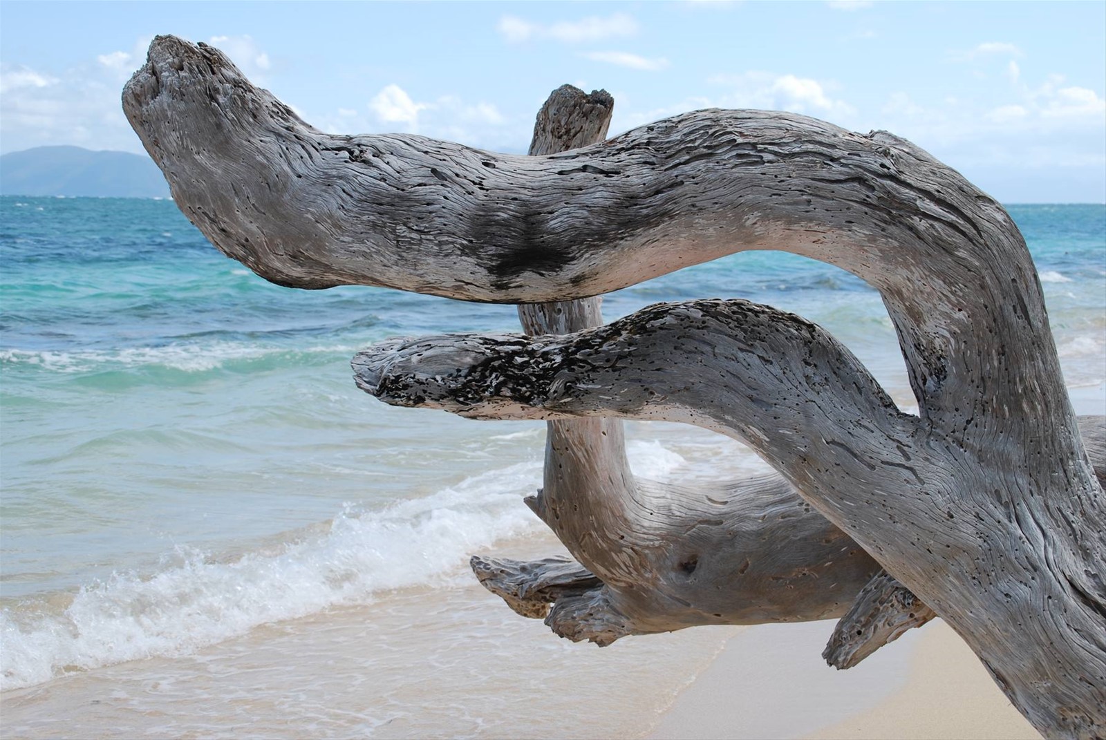Foto di viaggio in AUSTRALIA