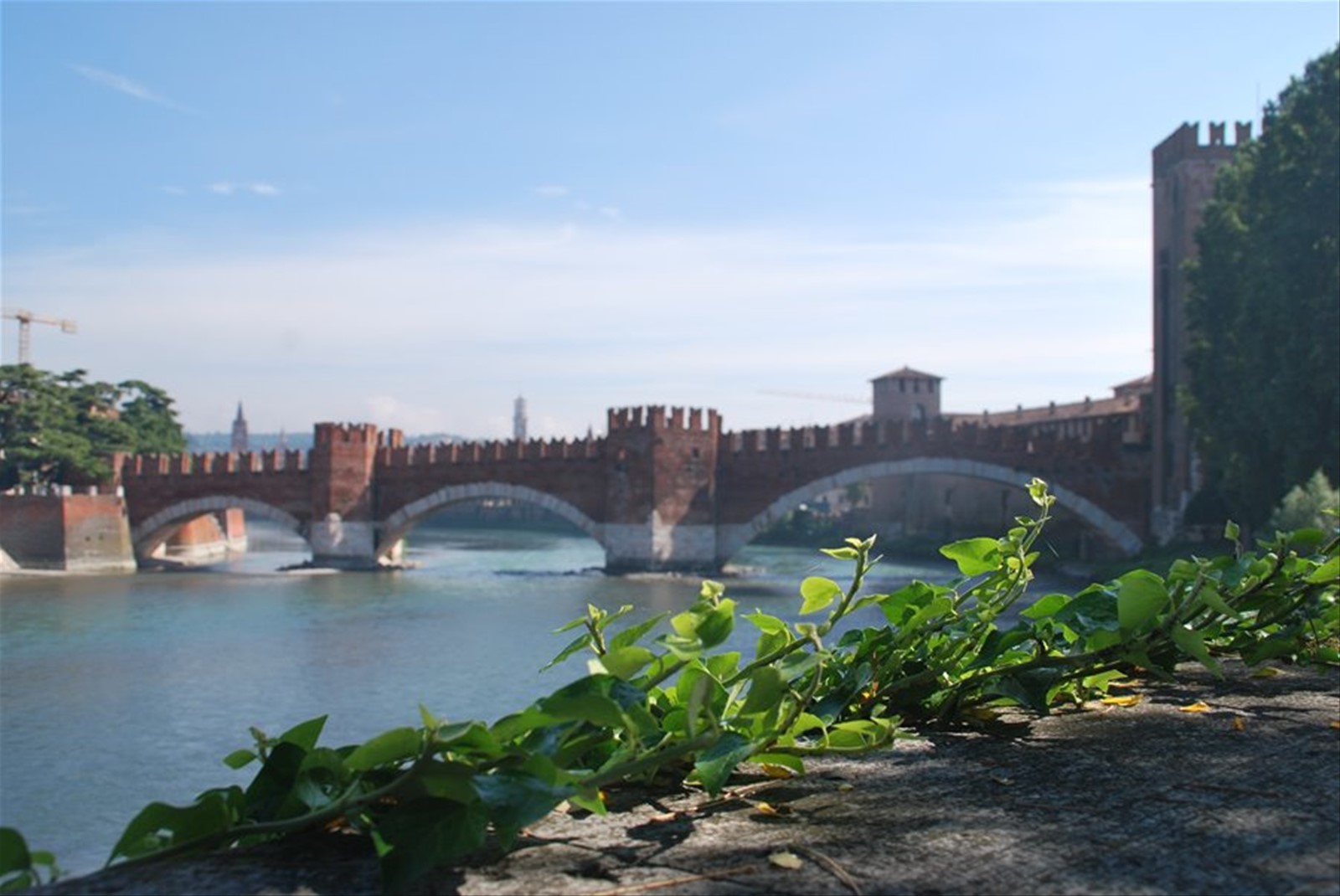 Foto di viaggio in ITALIA
