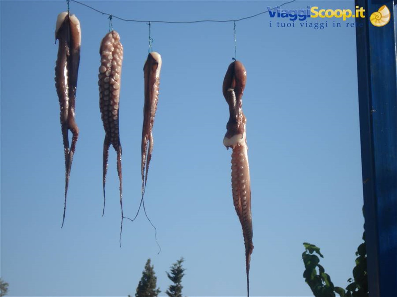 Foto di viaggio in GRECIA