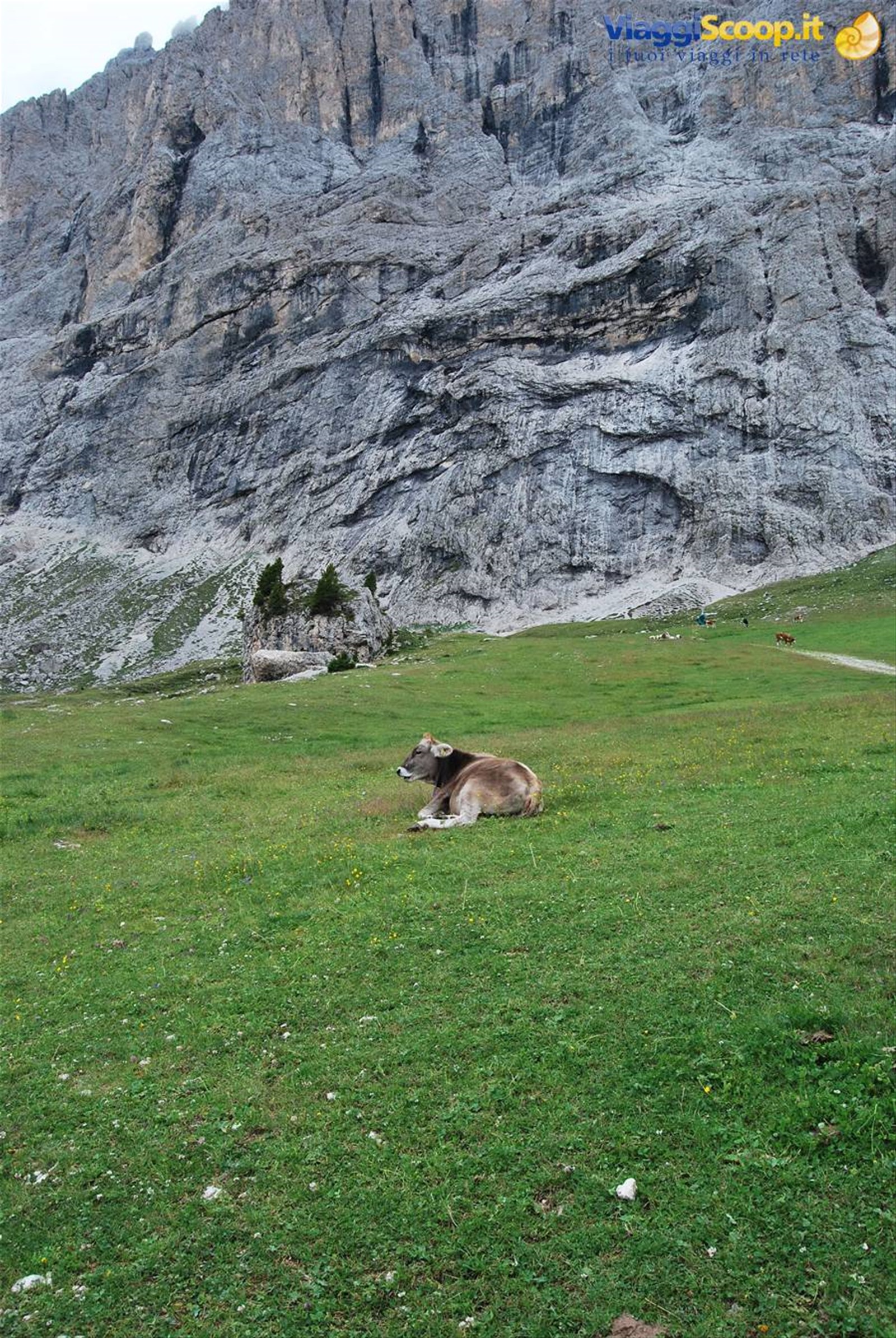 ..la tranquillità