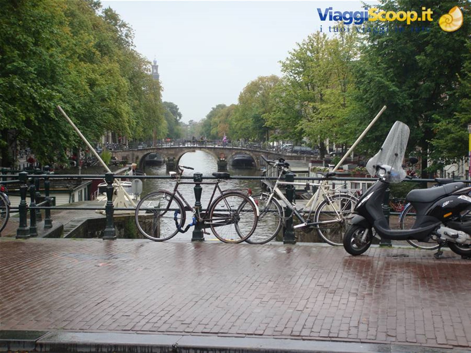 Foto di viaggio in OLANDA