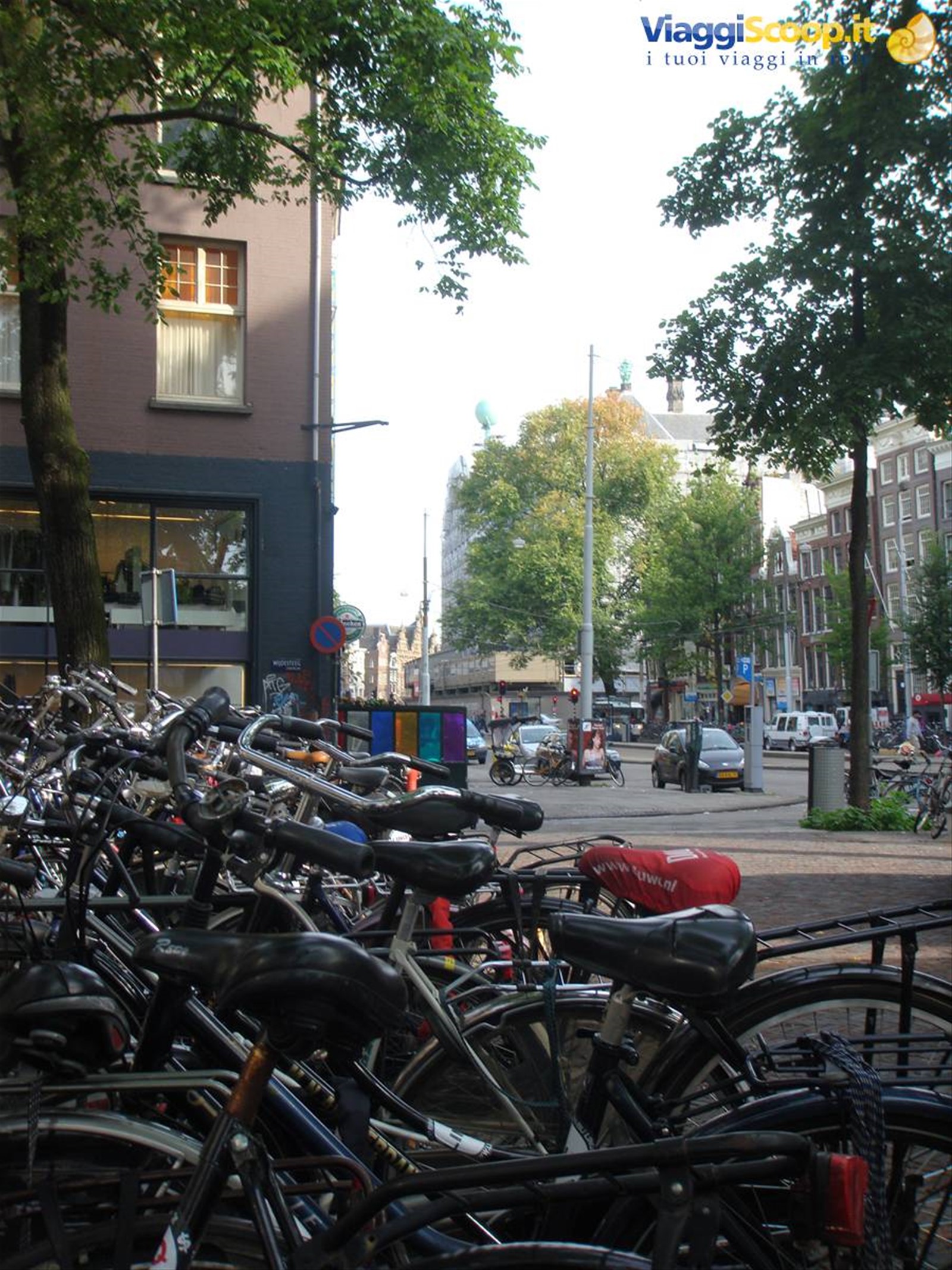 Foto di viaggio in OLANDA