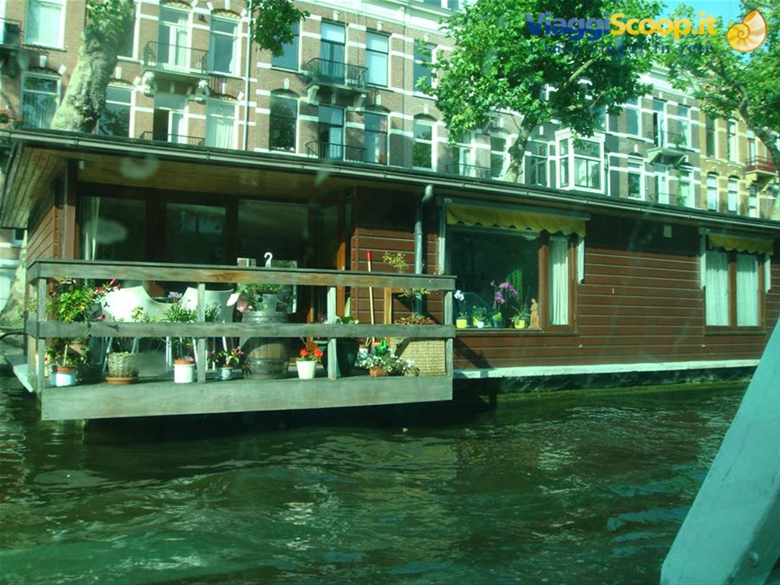 Foto di viaggio in OLANDA