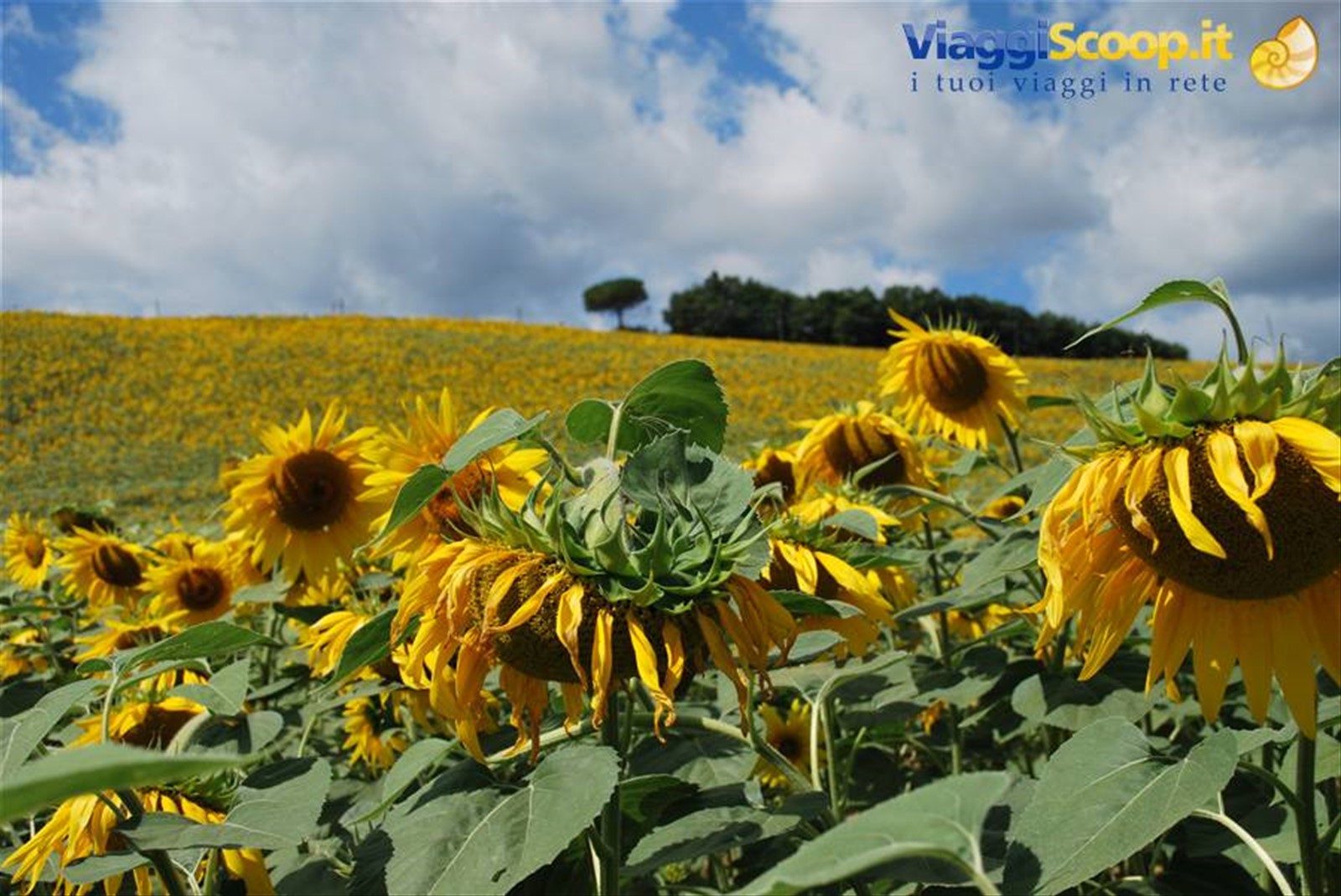 Foto di viaggio in ITALIA